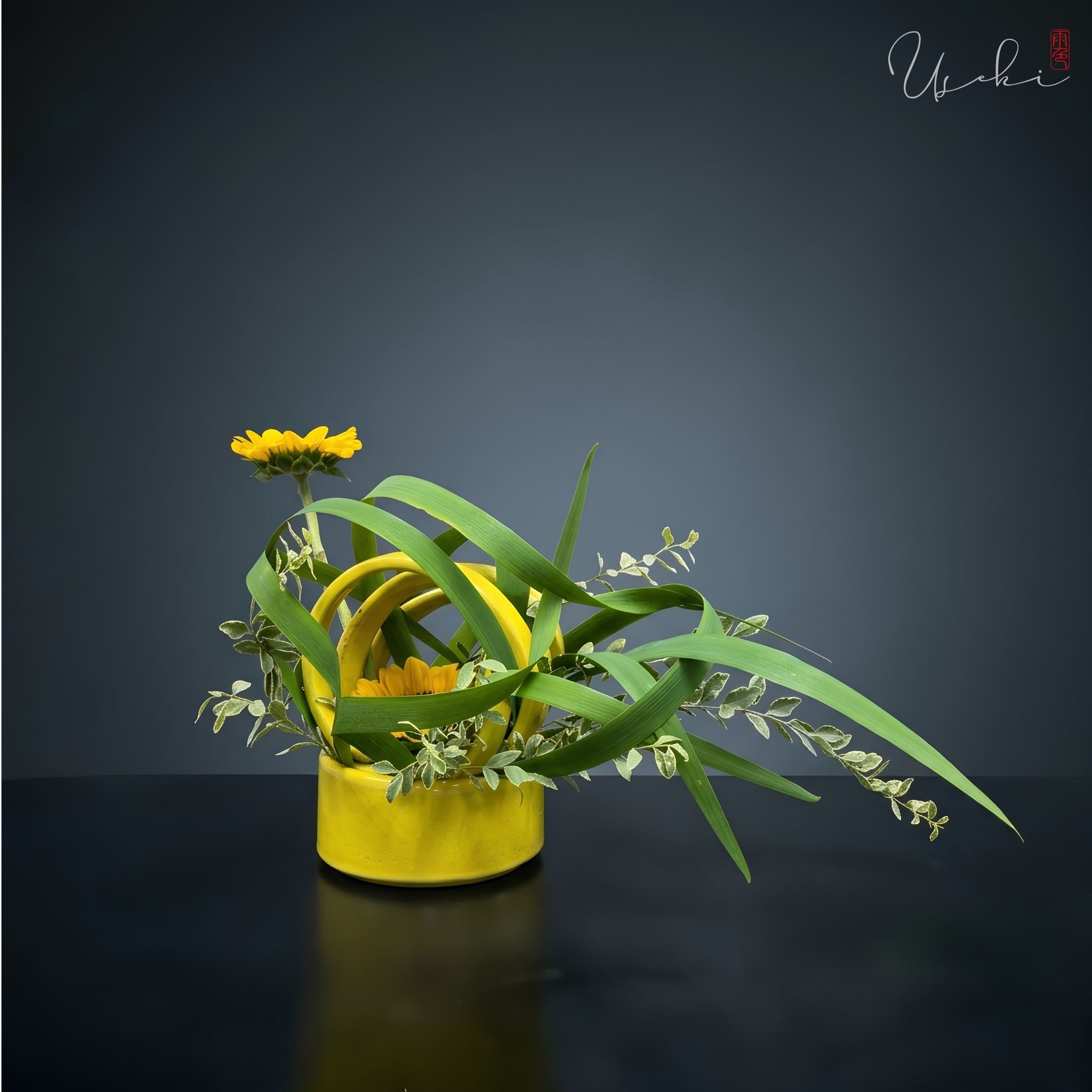 Sogetsu Ikebana looped green foliage art with a single yellow daisy in a geometric container