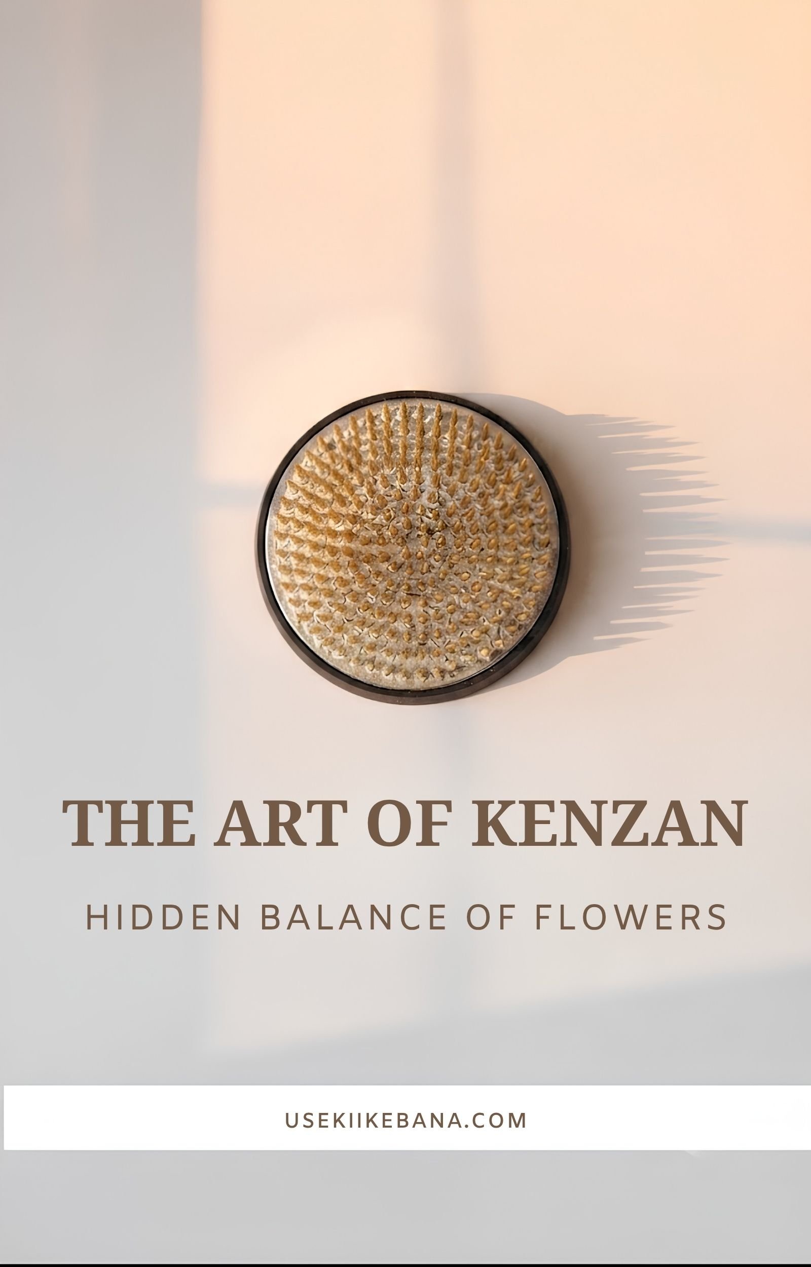 The Art Of Kenzan