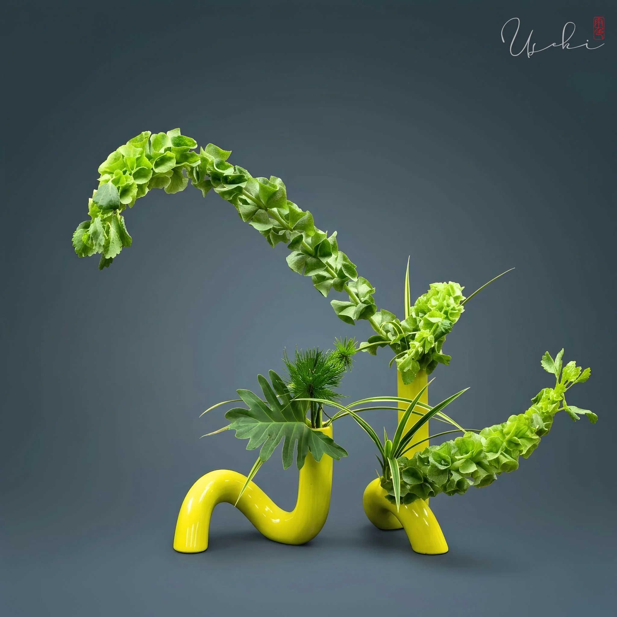 Sogetsu Ikebana continuous winding green vine sculpture on a modern yellow base
