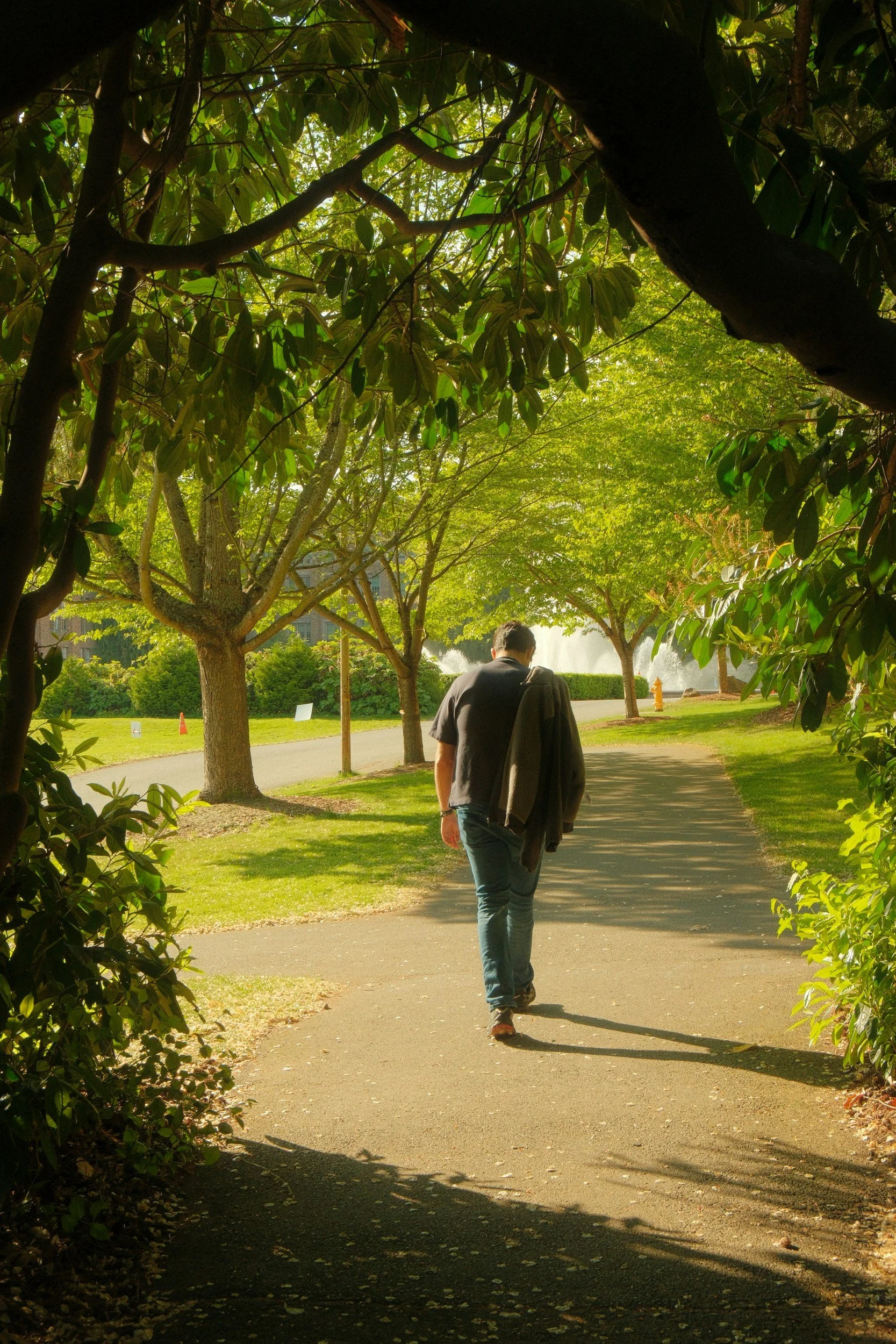 anxiety counseling meridian idaho