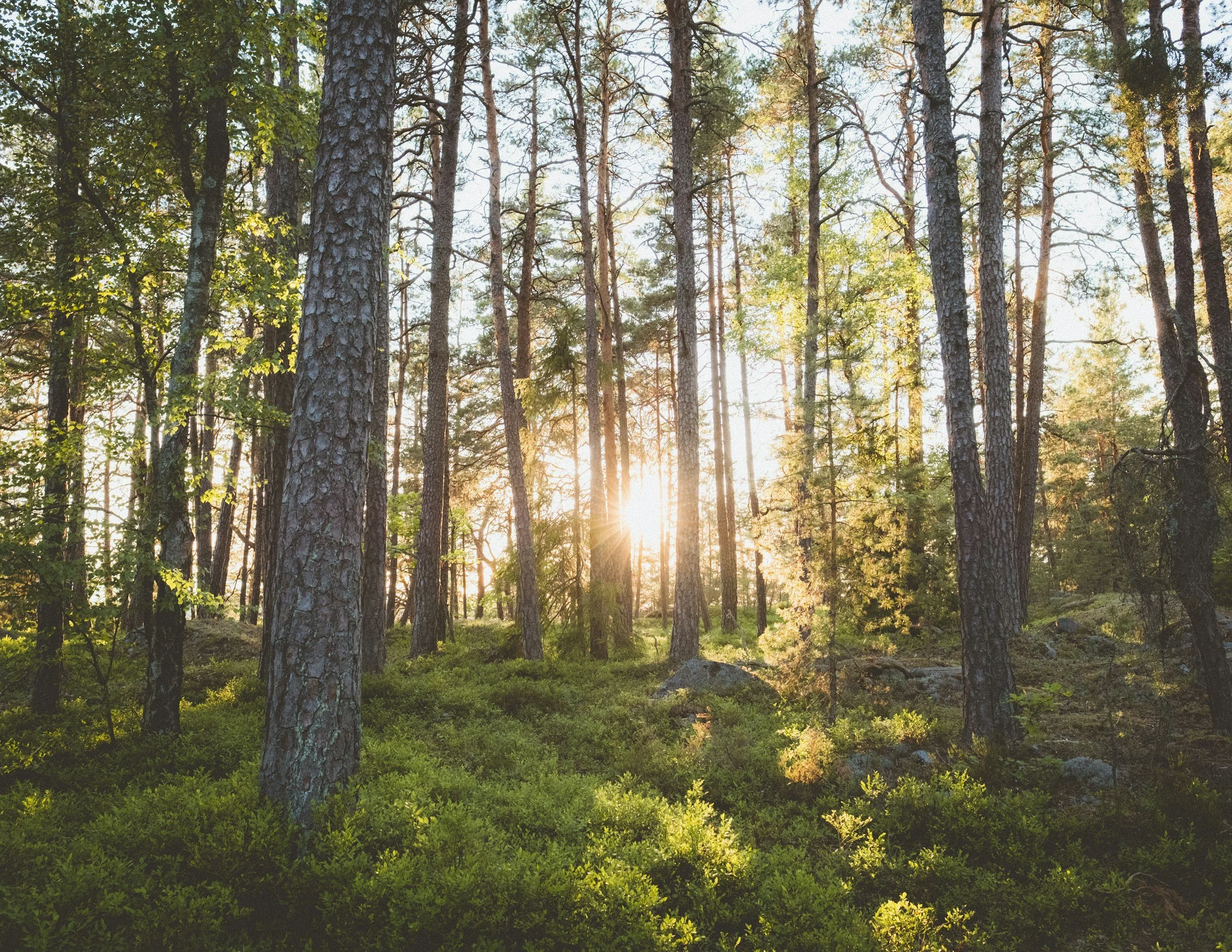 perfectionism counseling meridian idaho