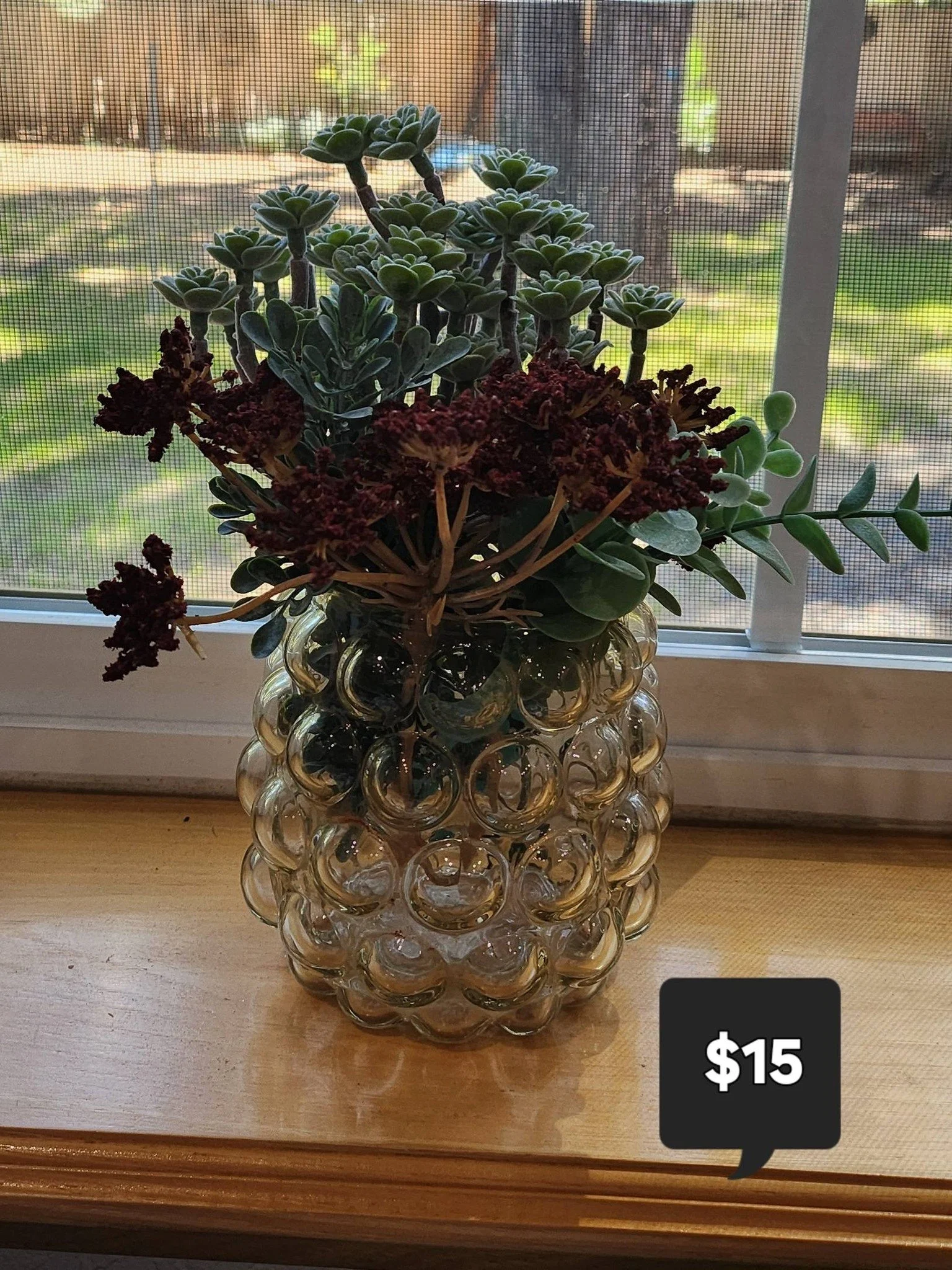 Succulent.jpg