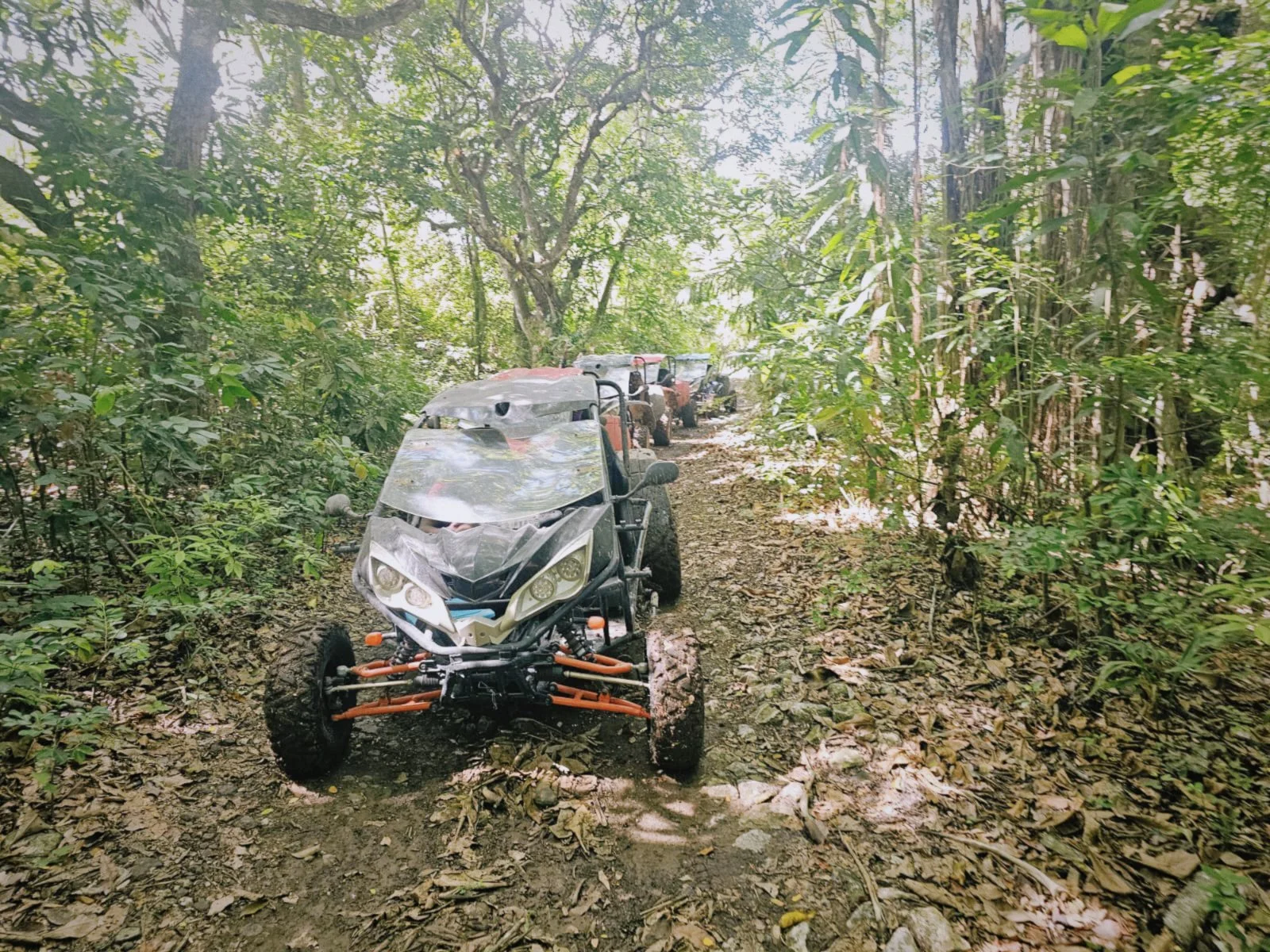 MORNING EXCURSION