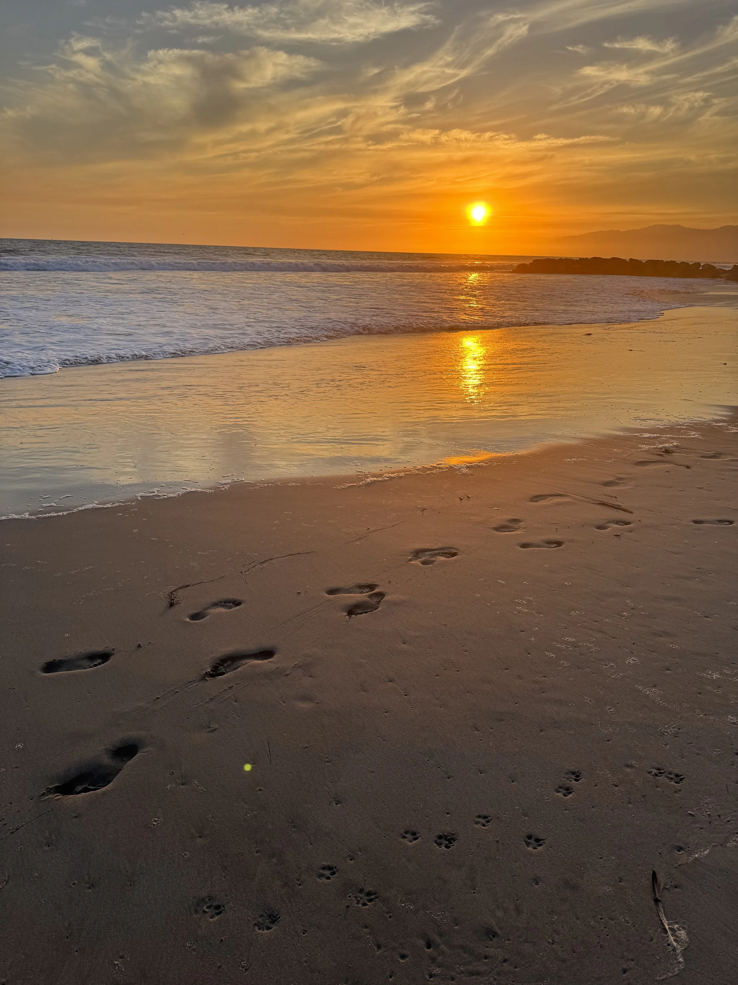 The sun setting over footprints on the beach