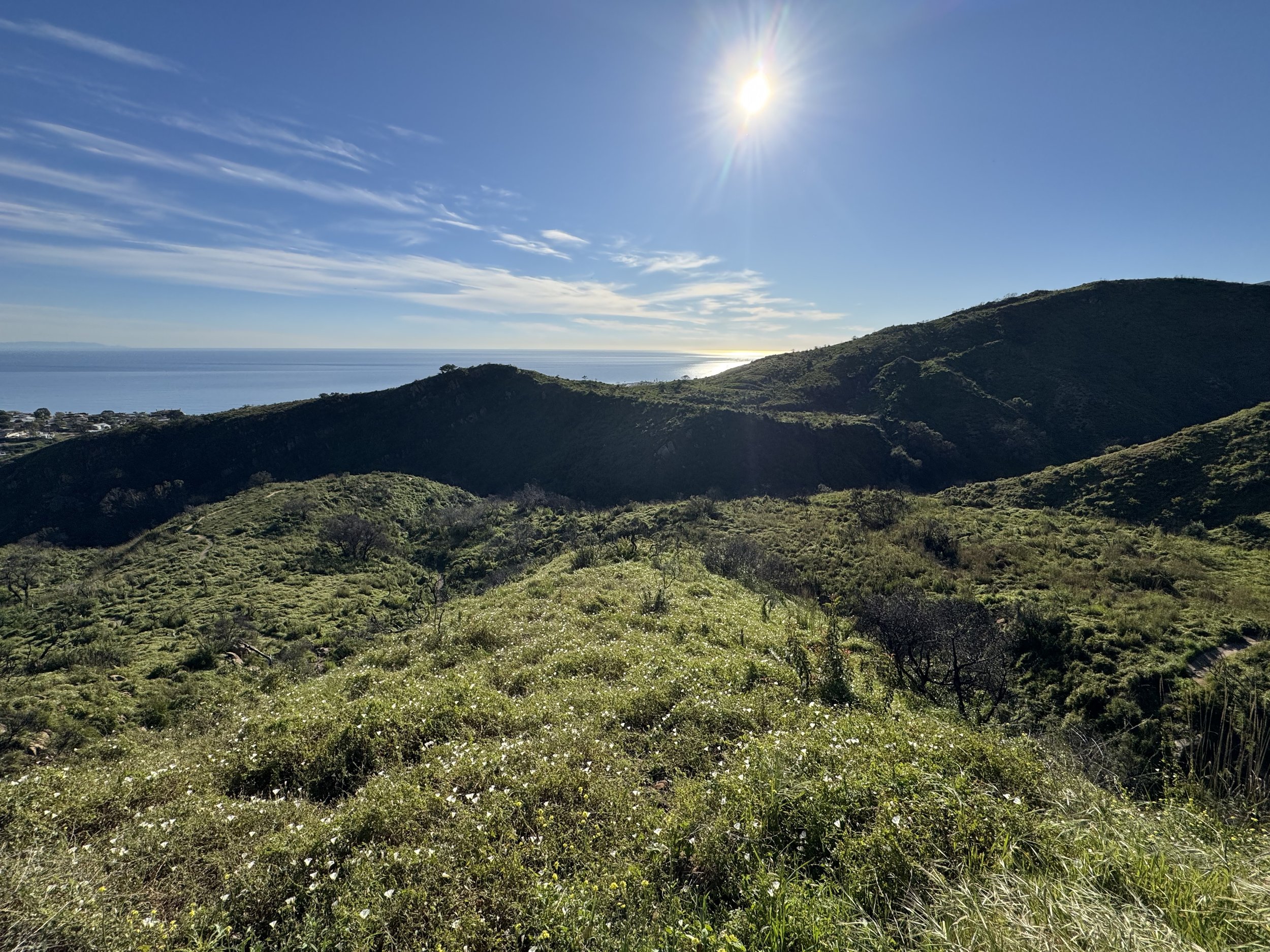 Hilly landscape covered in green vegetation with the ocean in the background under a clear blue sky and bright sun.