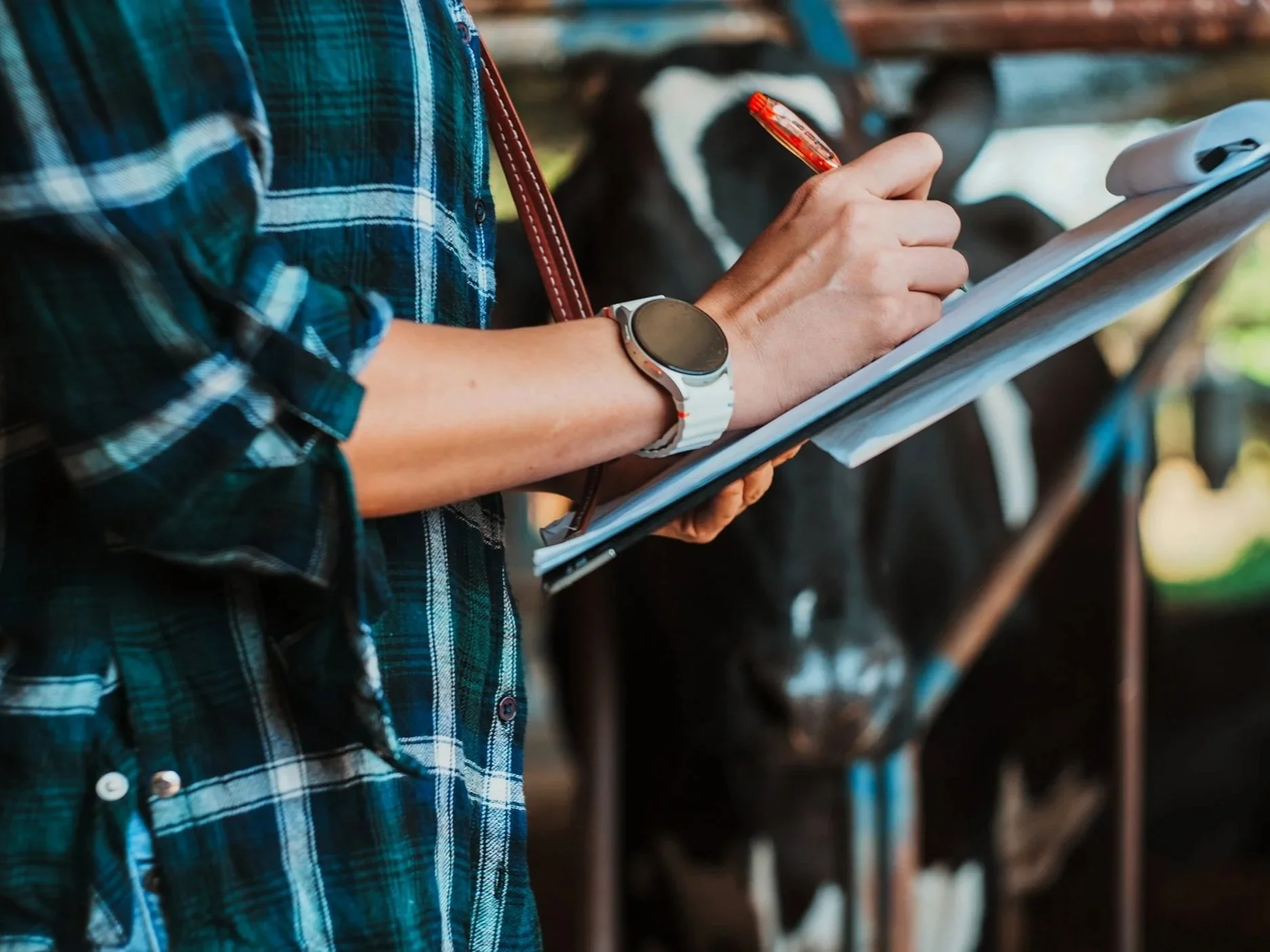 Fertility Metrics: Measuring Fertility in Dairy Herds