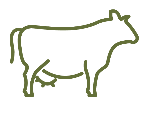 Green dairy cow icon.