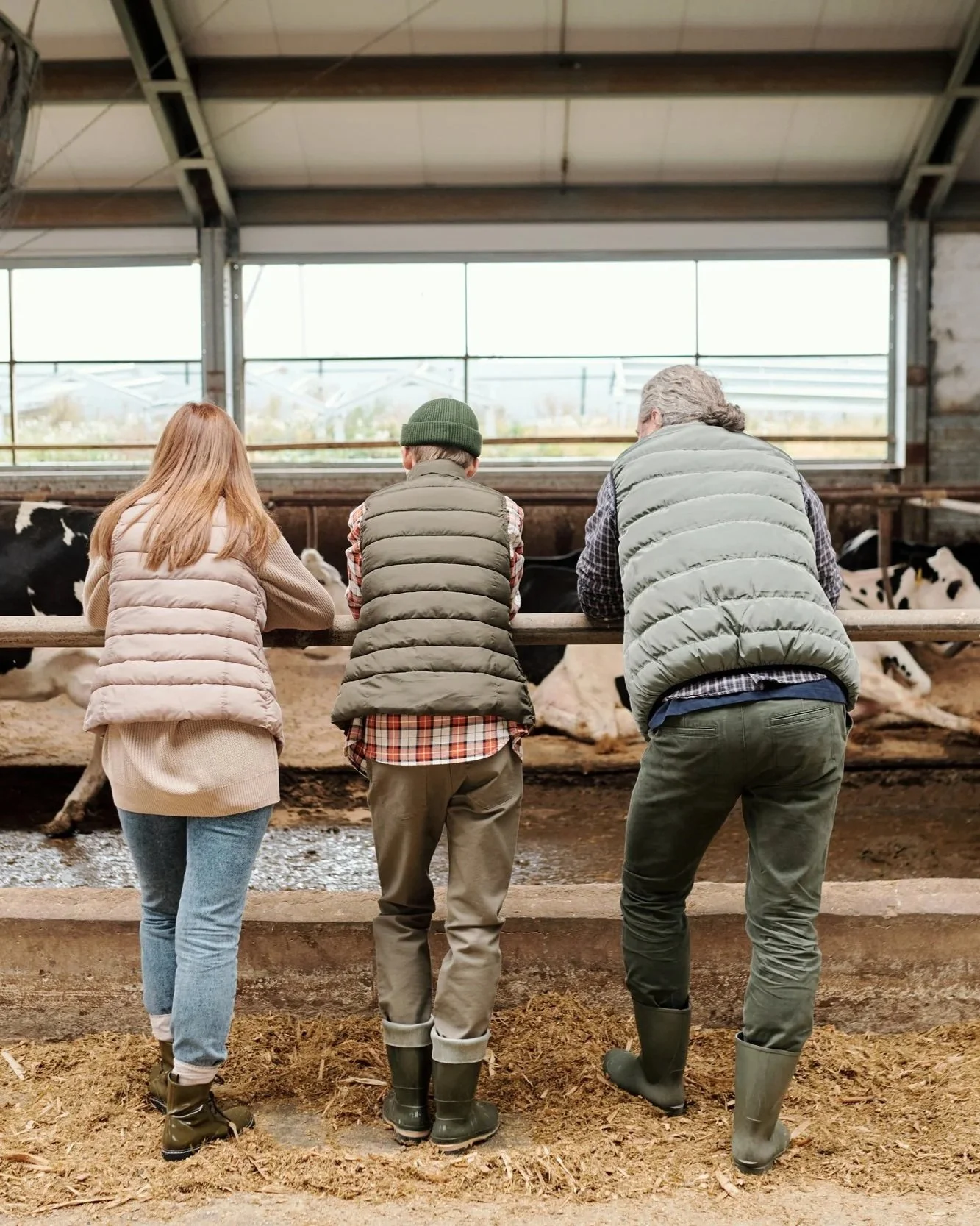 Three people, two men and one woman, are standing inside a barn looking at cows. They are wearing warm clothing and rubber boots, and are seen from behind.