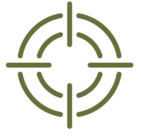 Green target icon, symbolising a focus.