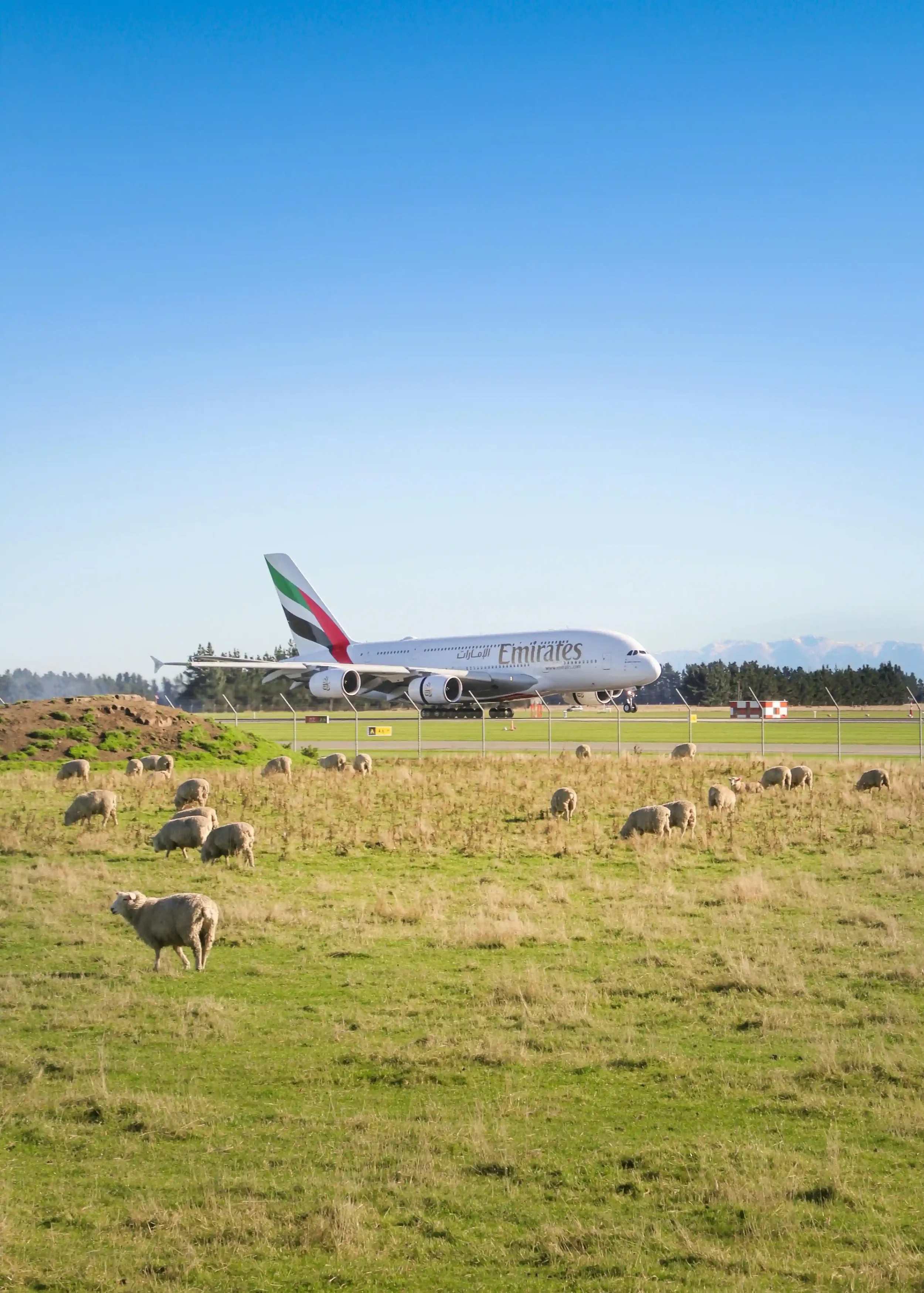 Emirates A380 arriving at Christchurch New Zealand airport where all international arriving aircraft must comply with MPI biosecurity disinsection requirements