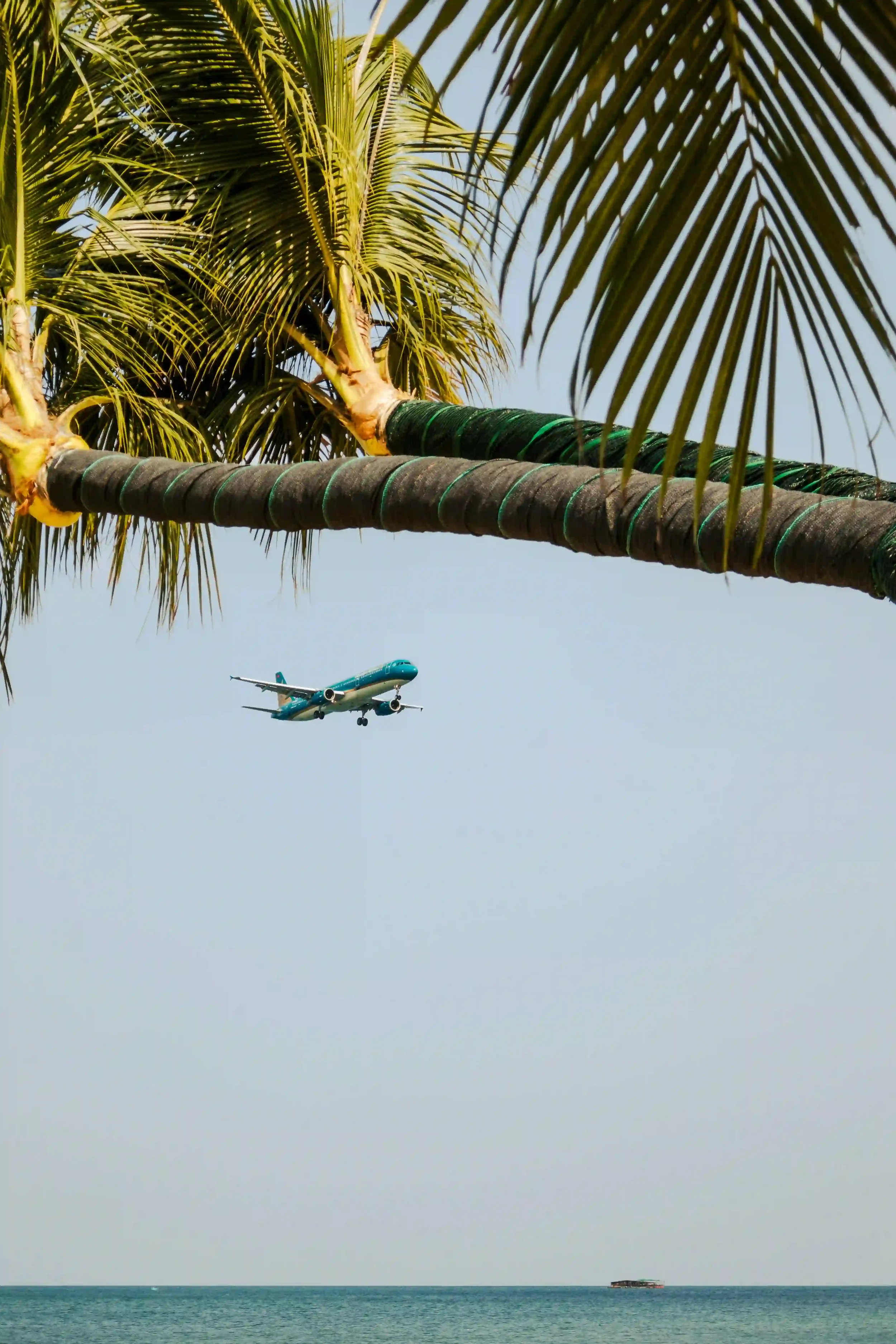 Commercial aircraft arriving over Malaysian tropical coastline where aircraft disinsection certificates are required at international entry points