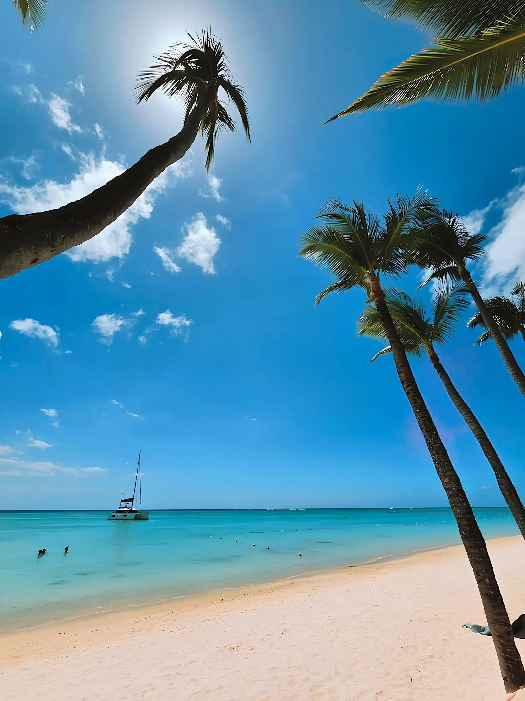 Barbados Caribbean beach destination requiring aircraft disinsection for all international arriving flights from the United States