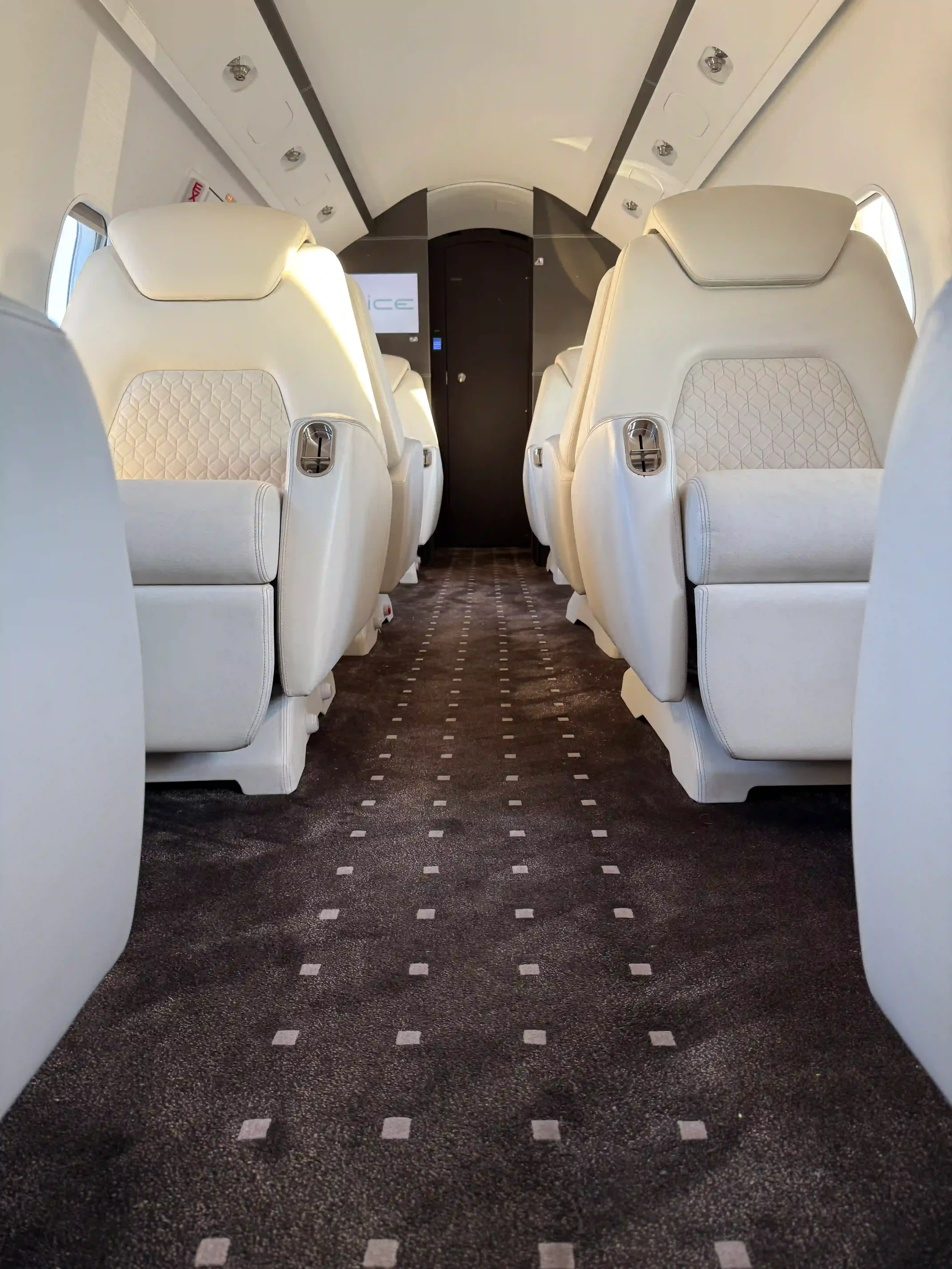 Heavy business jet interior cabin with aisle carpet treated with WHO-approved residual aircraft disinsection