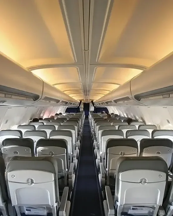 Commercial aircraft cabin interior requiring residual disinsection before international departure to countries with mandatory requirements