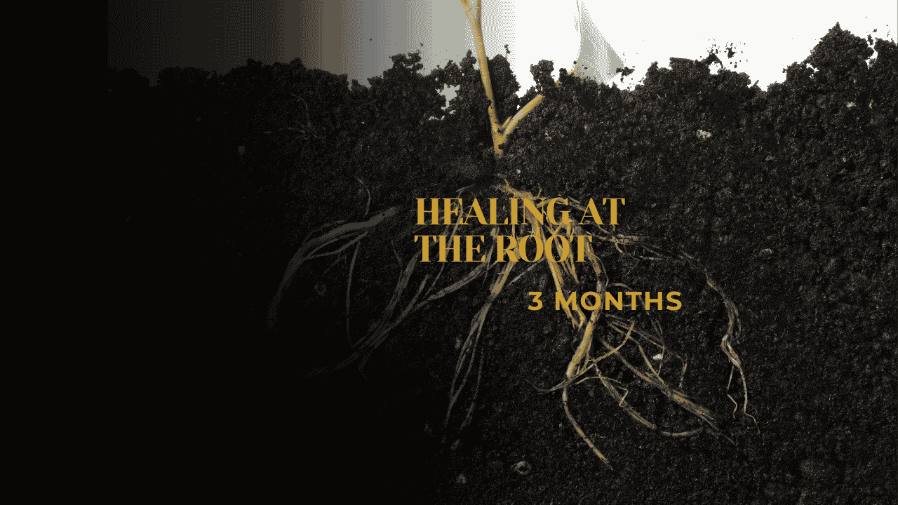 Pain Turned Purpose  (healing at the Root)
