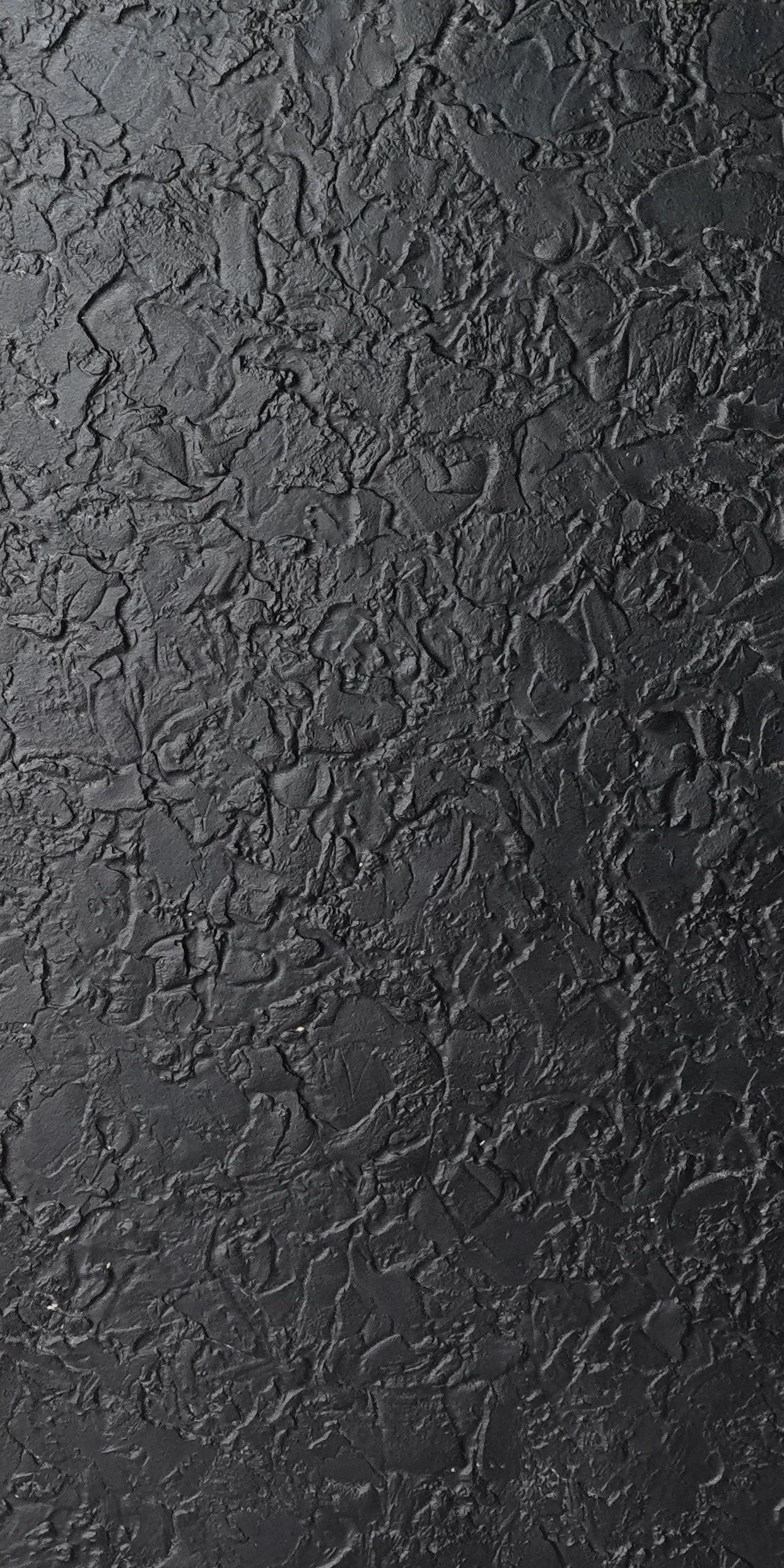 C135 1