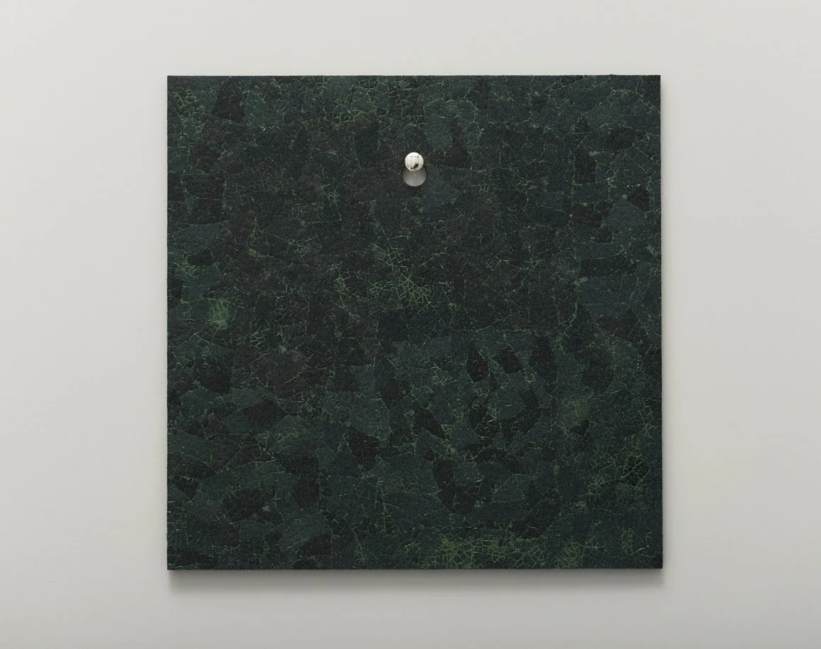 Emu-Green-brut.jpg-nggid03444-ngg0dyn-1155x913x100-00f0w010c010r110f110r010t010.jpg
