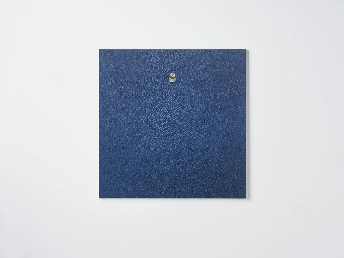 Blue-stingray.jpg-nggid03455-ngg0dyn-1175x880x100-00f0w010c010r110f110r010t010.jpg