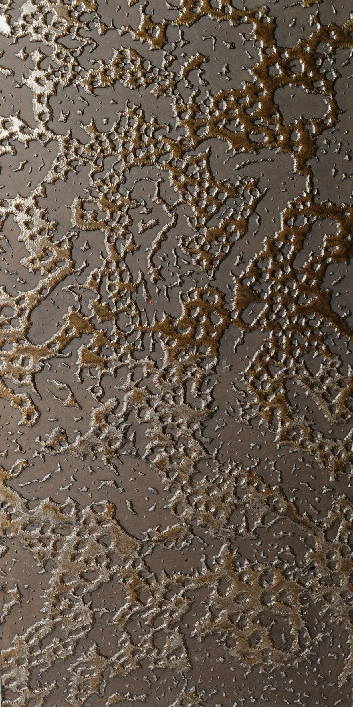 C121 2