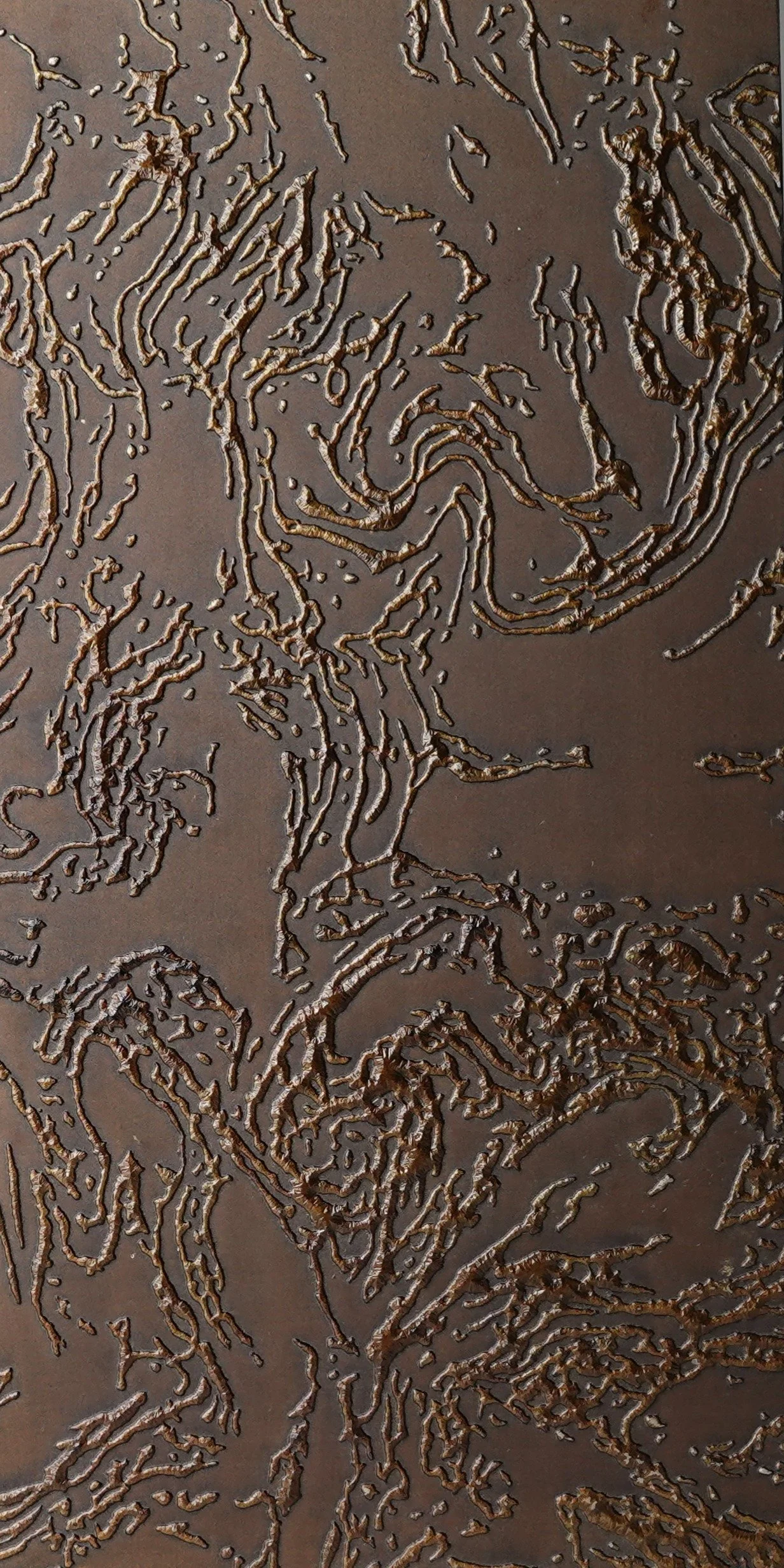 C119 2