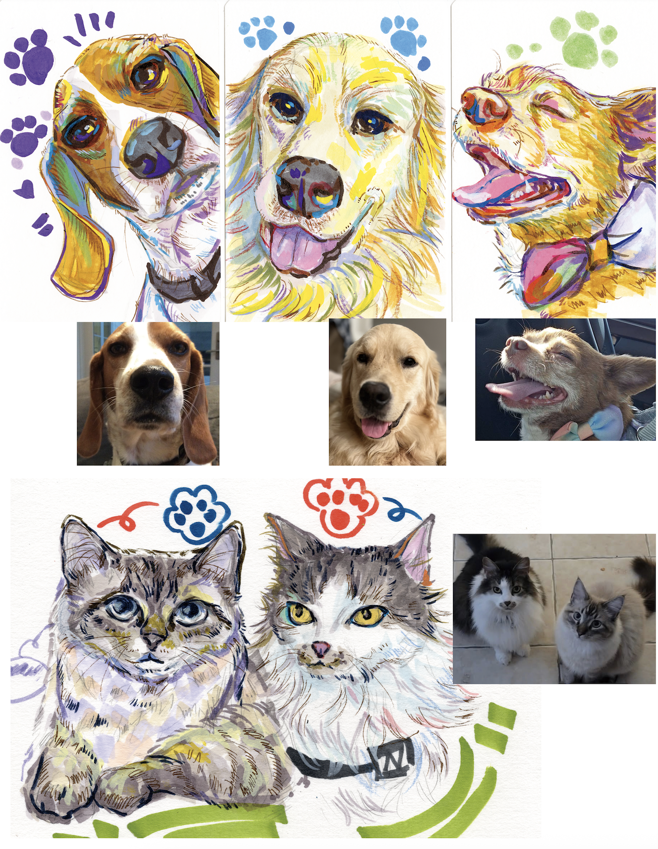 A collage featuring colorful artistic portraits of dogs and photos of living dogs, along with sketches of cats and photos of cats.