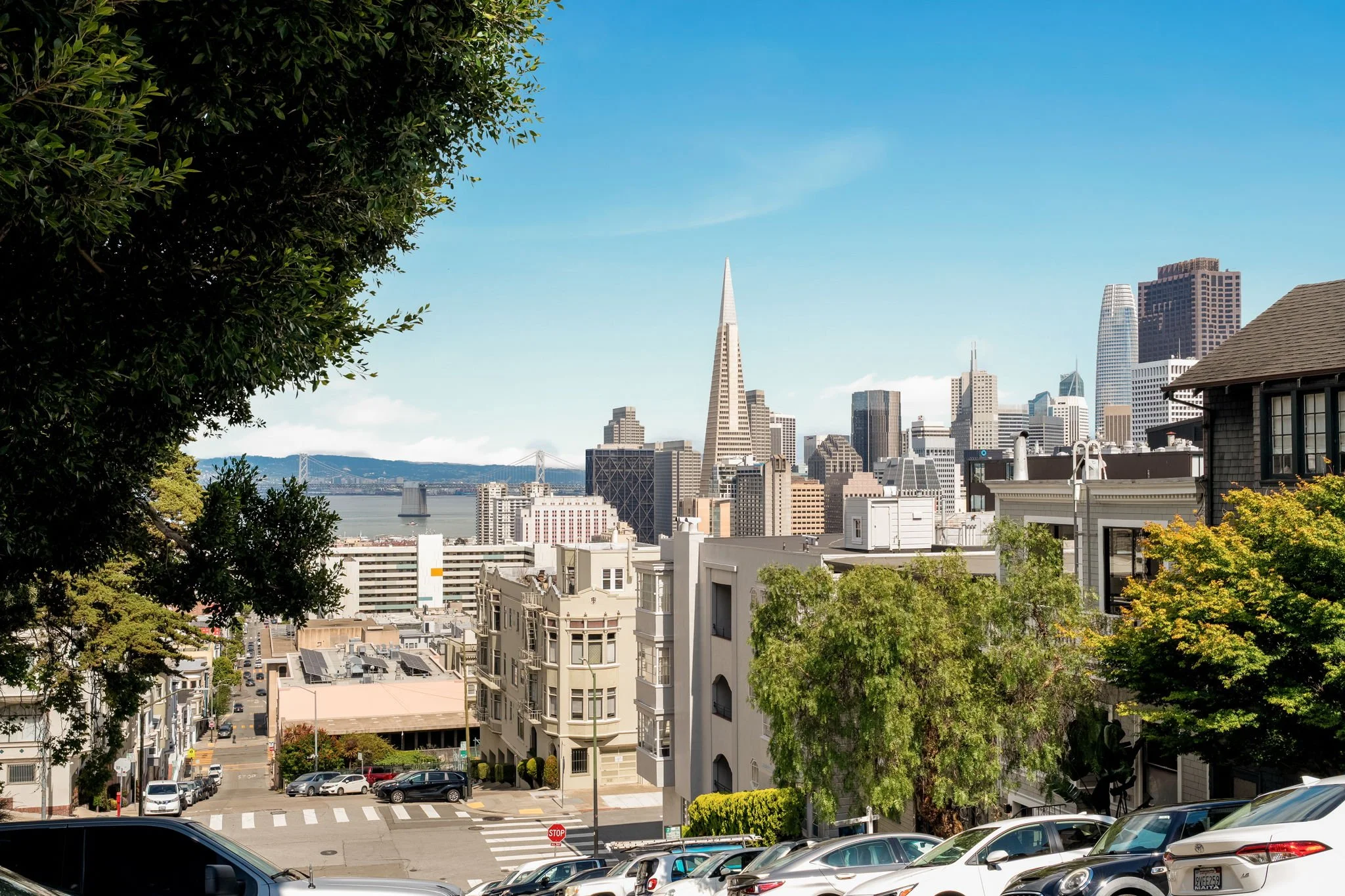 A cityscape featuring tall skyscrapers including the Salesforce Tower in San Francisco with a body of water and a bridge in the background, viewed from a residential area with trees, parked cars, and a street in the foreground.