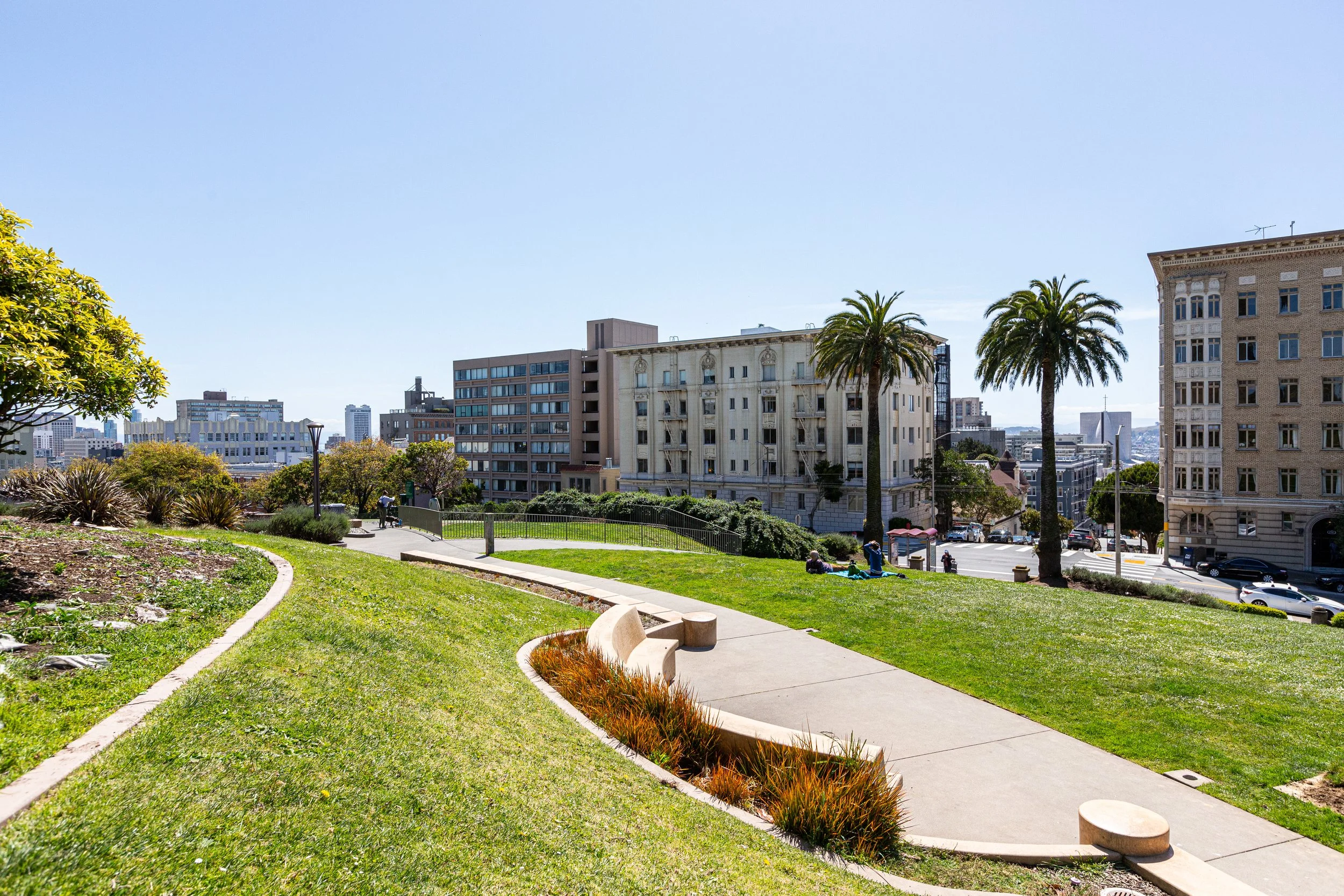 A city park with a curved sidewalk and benches, surrounded by green grass and plants. Tall palm trees and buildings are visible in the background under a clear blue sky.