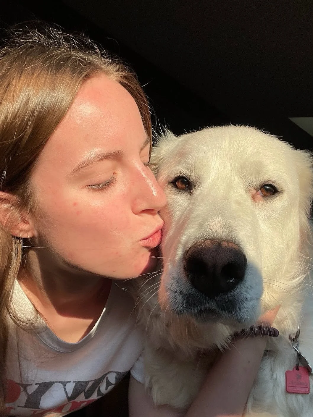 My dad rescued Annie in 2020 just before the pandemic and thank god he did. We needed a squishy derpy dog like her in our lives. I wish she could&rsquo;ve stayed longer. She brought us so much joy