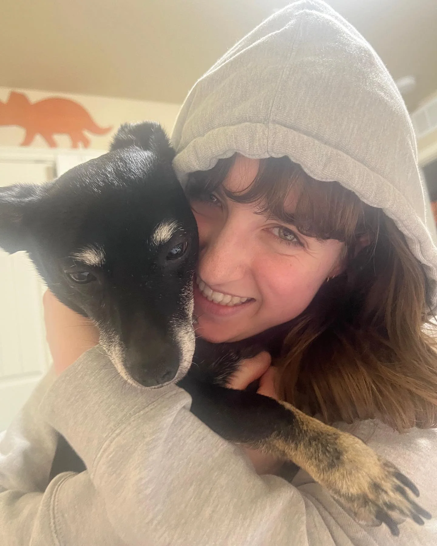 Please wish Harper the happiest tenth birthday a little puppy could ask for!!!