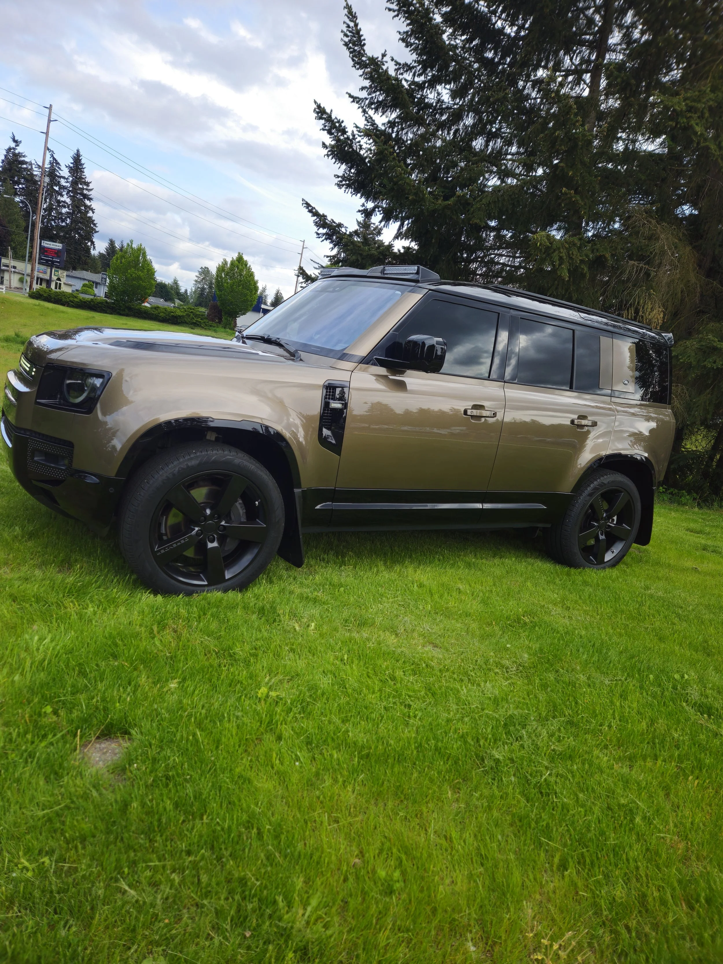 A beige and black Land Rover SUV parked on green grass with tall trees and a cloudy sky in the background.