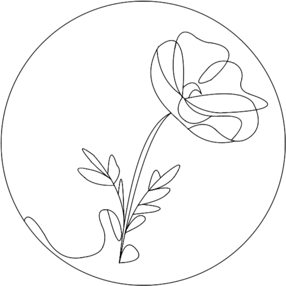 Line drawing of a flower with leaves inside a circle. Wild flowers. Drawn by Brenna Wakefield at Vow to Alpenglow Photography. Leave No Trace, leave what you find. Do not pick the wildflowers, leave them for others to enjoy.