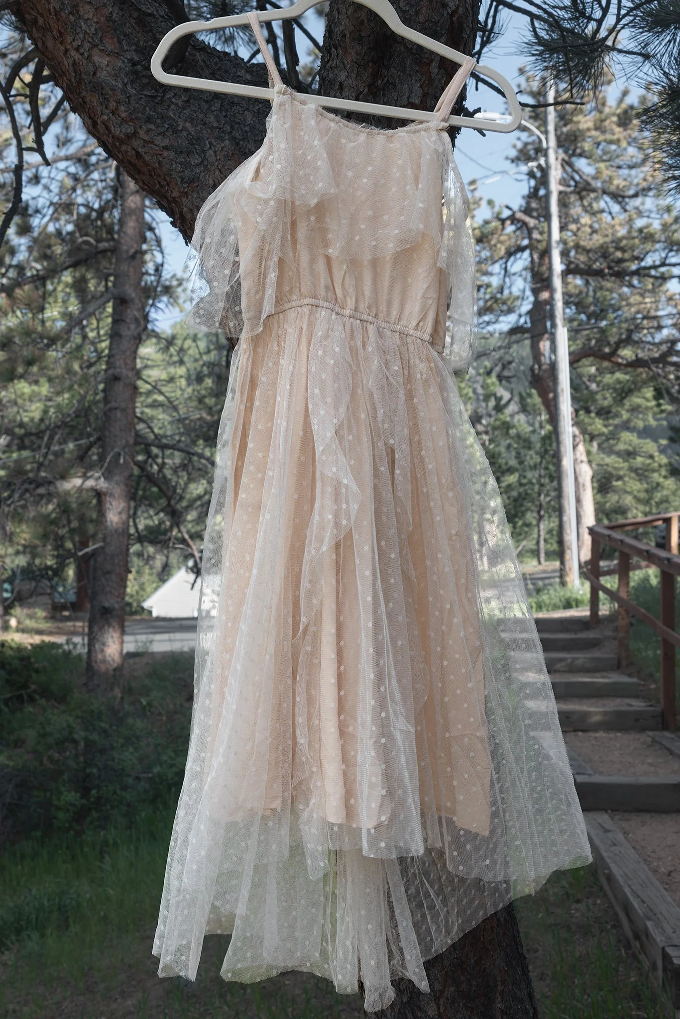 Joyfolie -- 6 & 14 (dress)