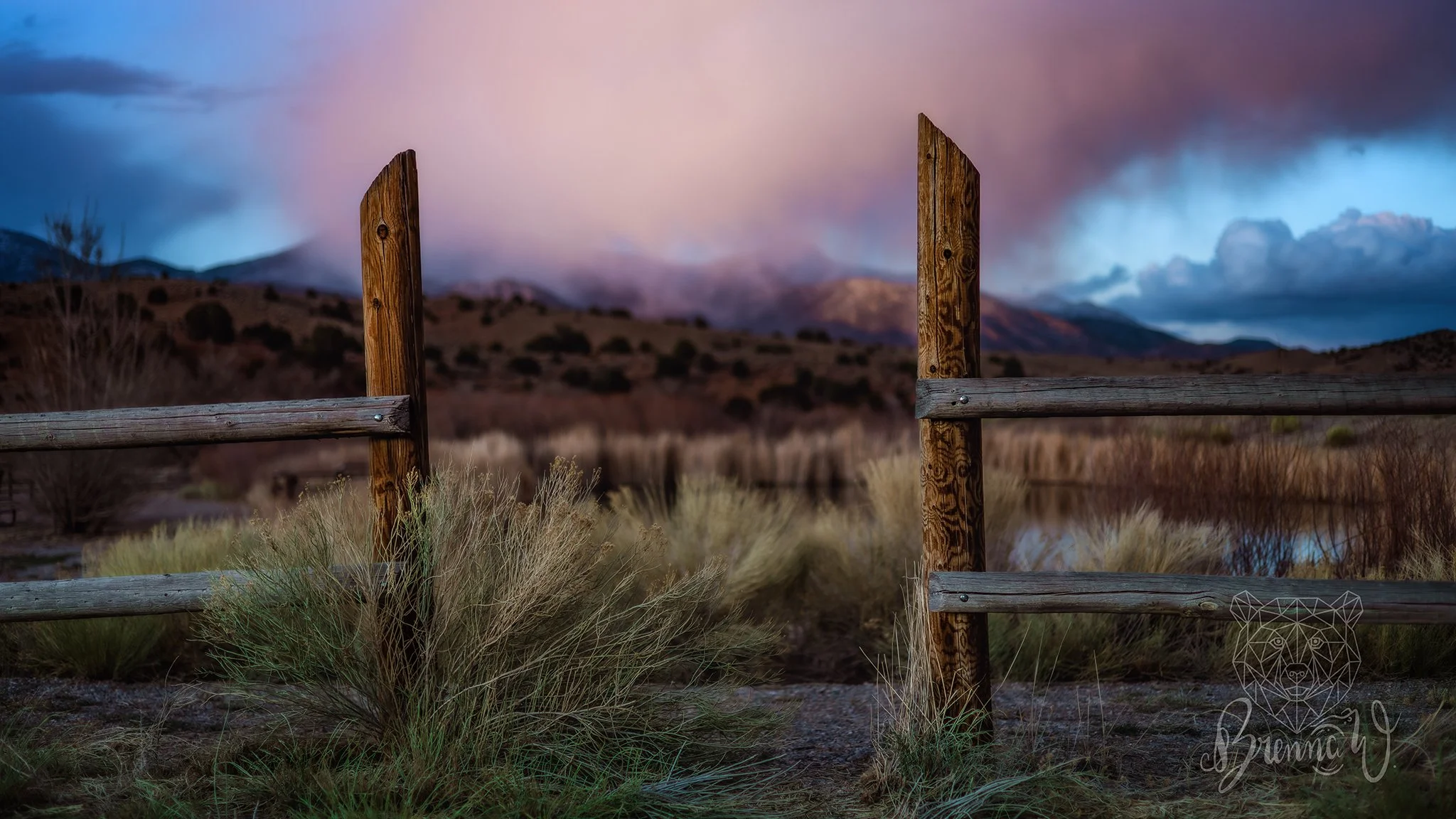 Outside of Great Basin National Park in spring. Sometimes you just gotta take a picture of a fence because of what it's framing. Those cotton candy skies though 