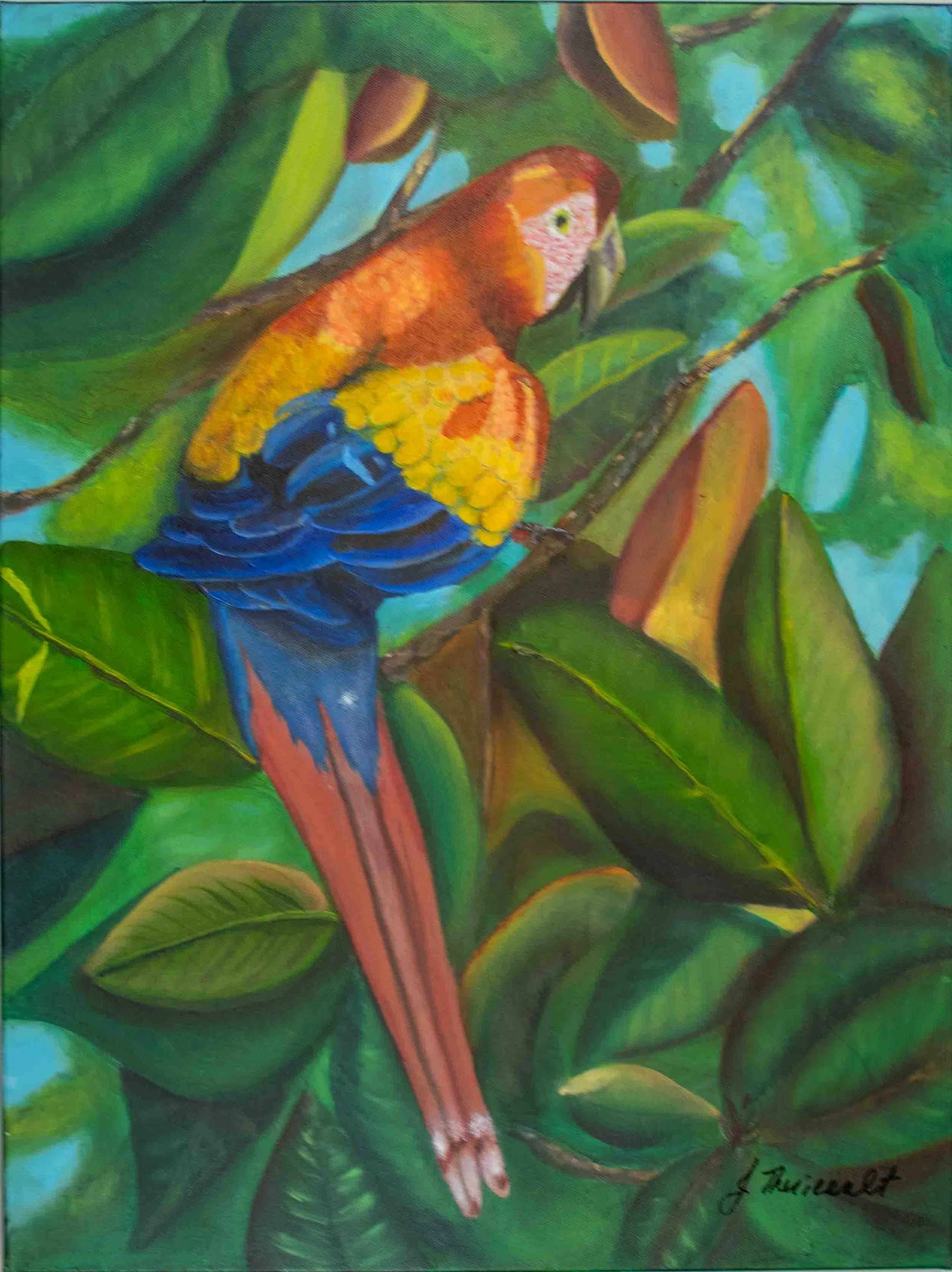 Jewel of the Canopy: 18x24 Oil Painting