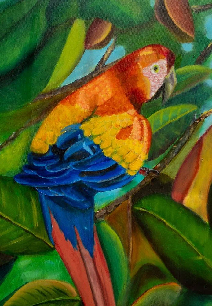 maccaw close up.jpg