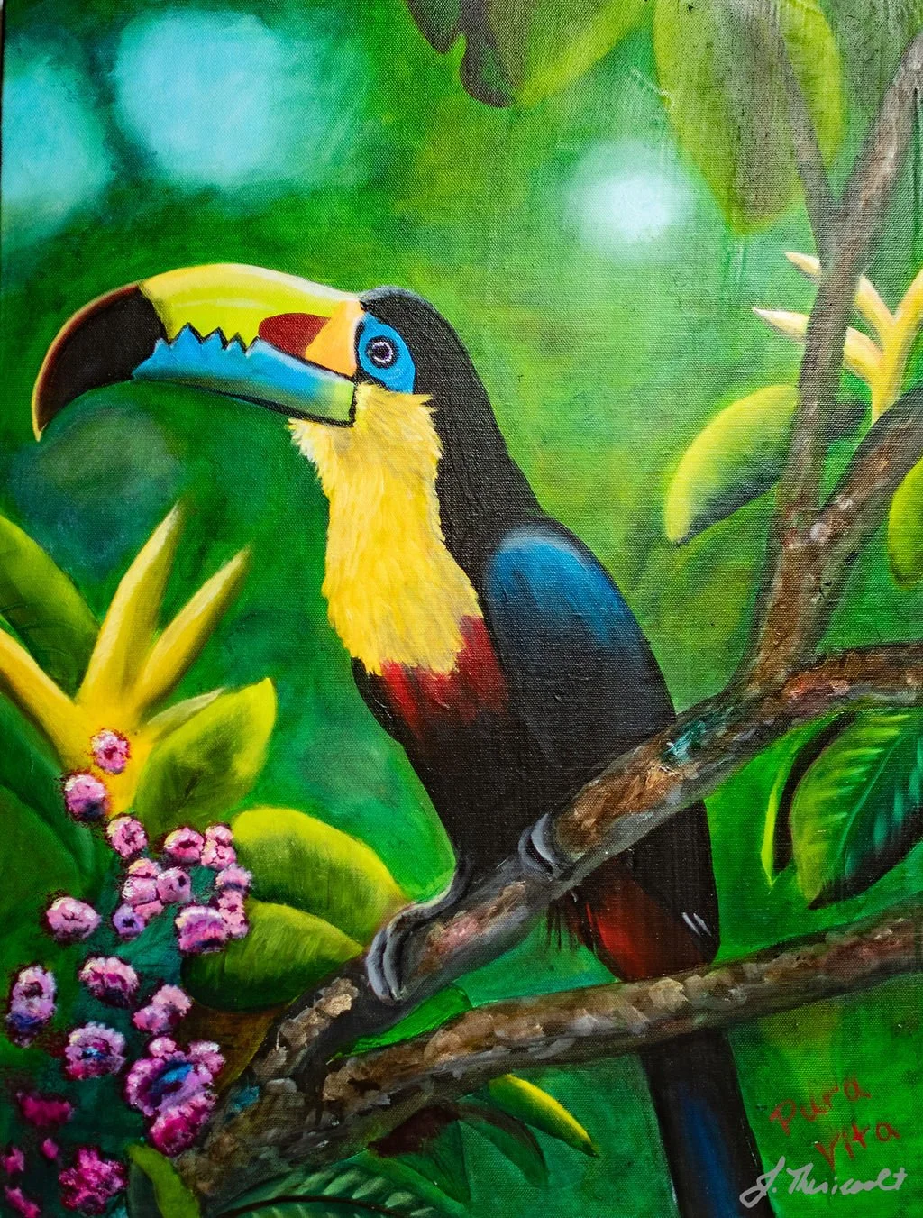 Pura Vida, A Vibrant Rainforest Toucan Mixed Media Painting