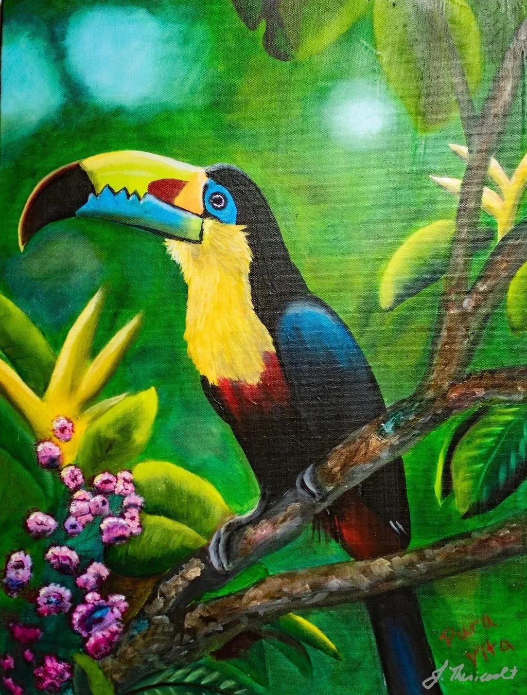 Pura Vida, A Vibrant Rainforest Toucan Mixed Media Painting