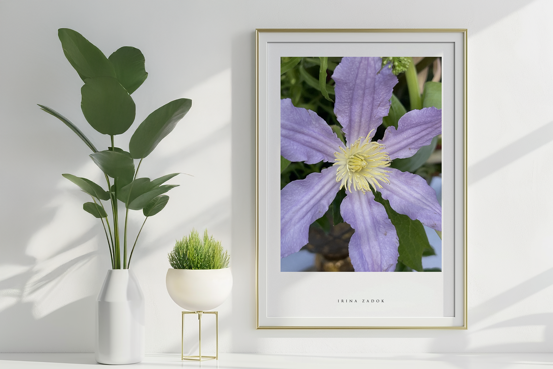 Botanical fine art photograph by Irina Zadok