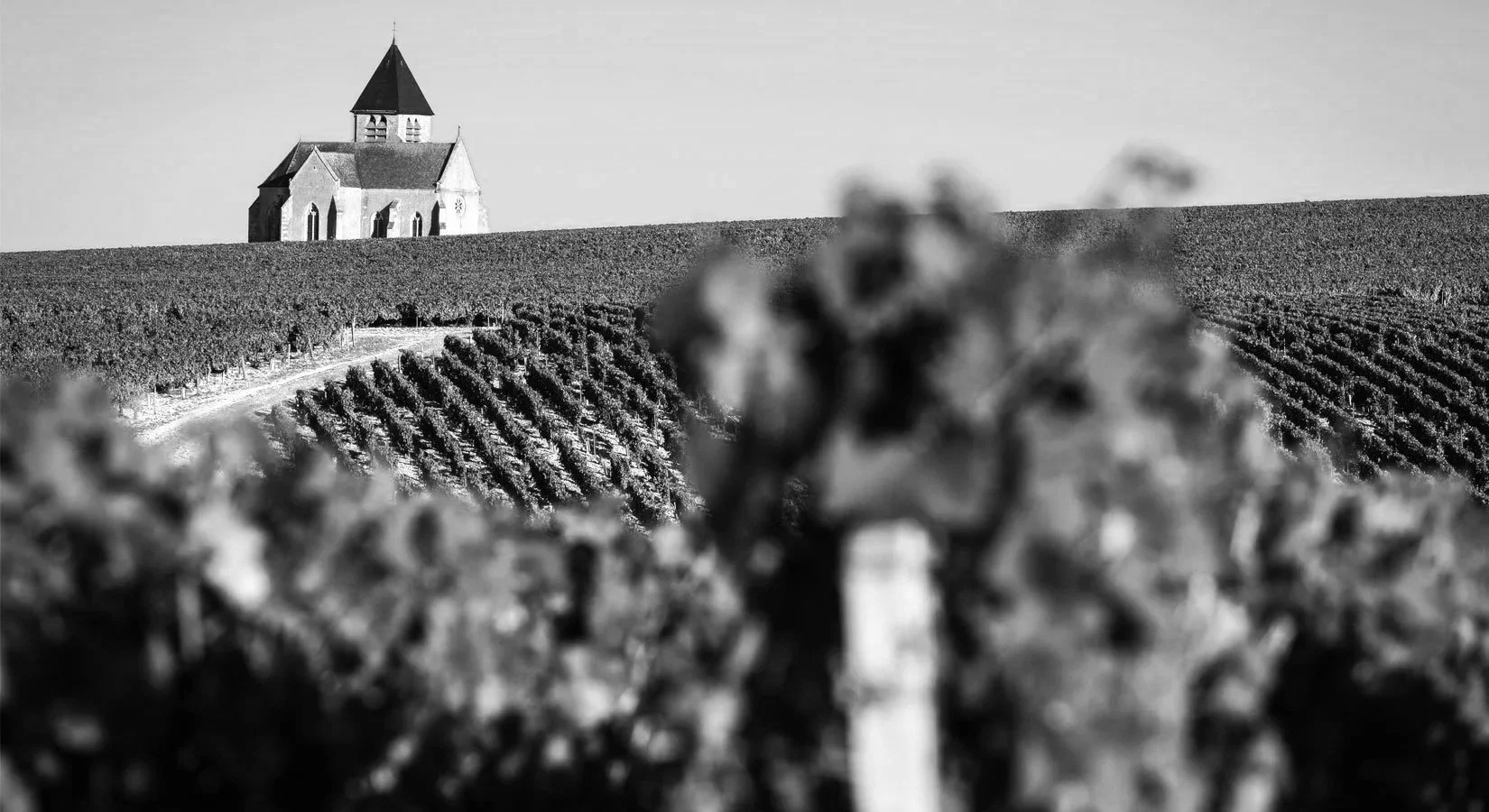 Chablis