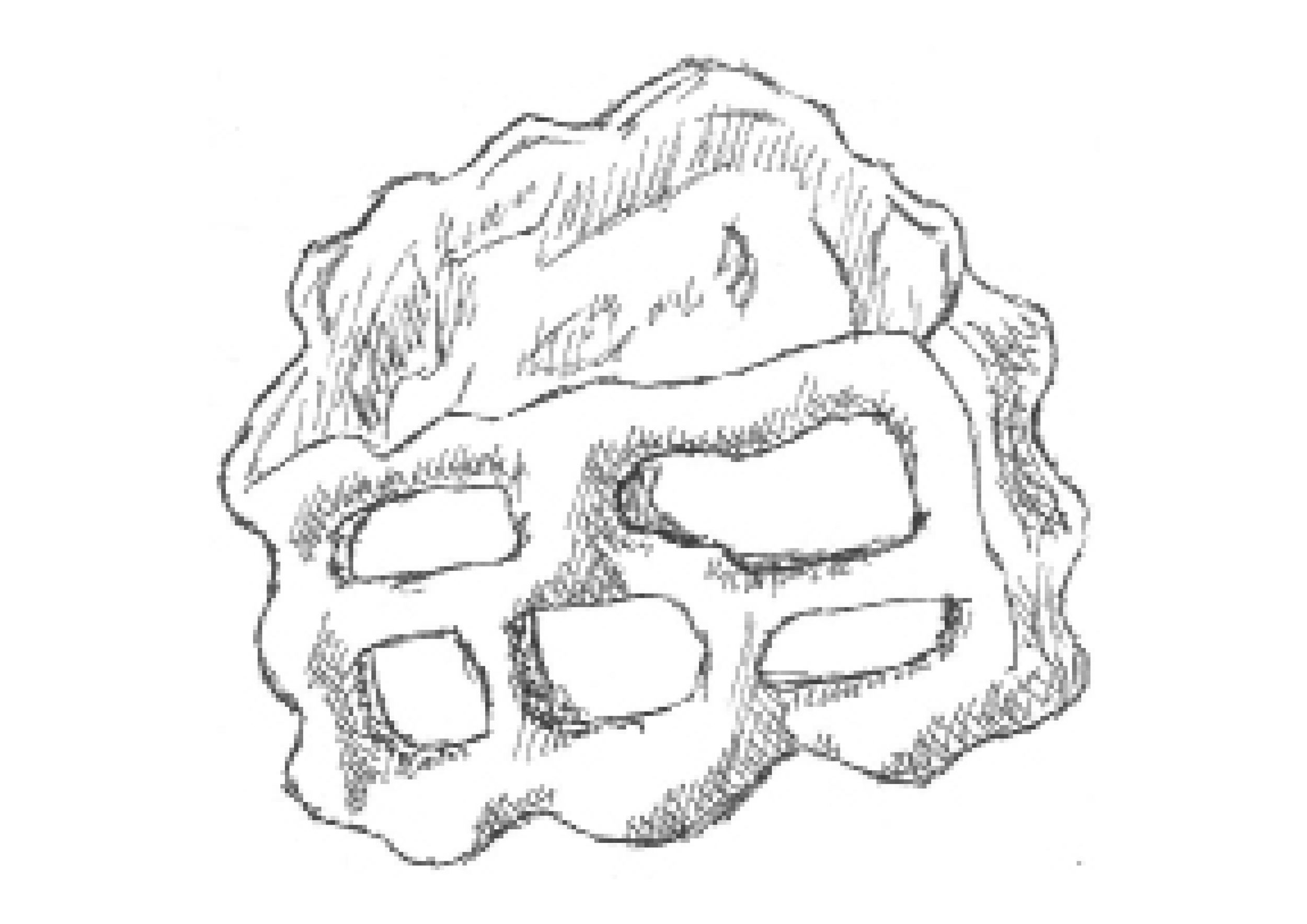 Sans titre-12.png