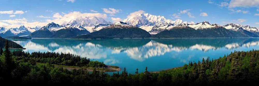 The Sustainable Clinician — The Landscapes We Inhabit: Body, Psyche, and the Living World