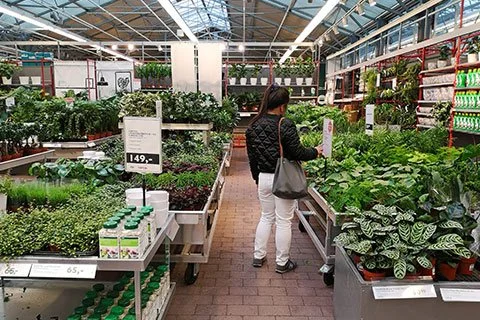 Global Garden Center Retail Lessons