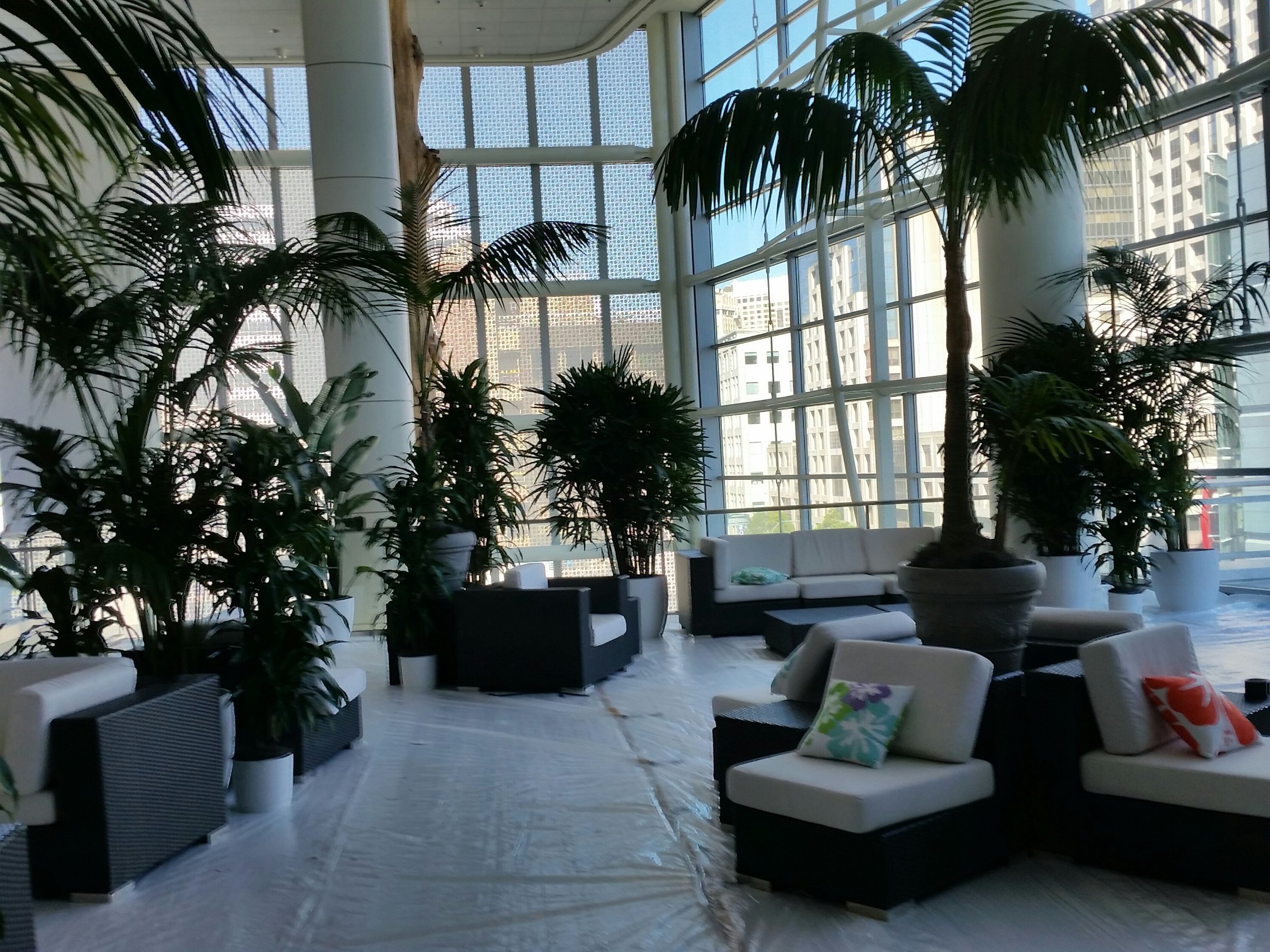 Interior of a modern building with large glass windows, indoor plants, white sofas, and colorful pillows.