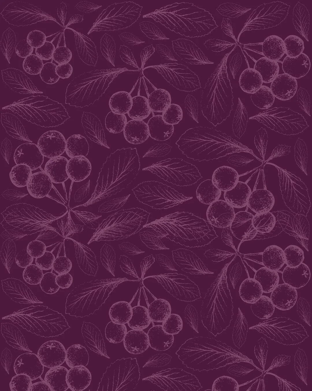 Pattern of hand-drawn clusters of berries and leaves on a dark purple background.