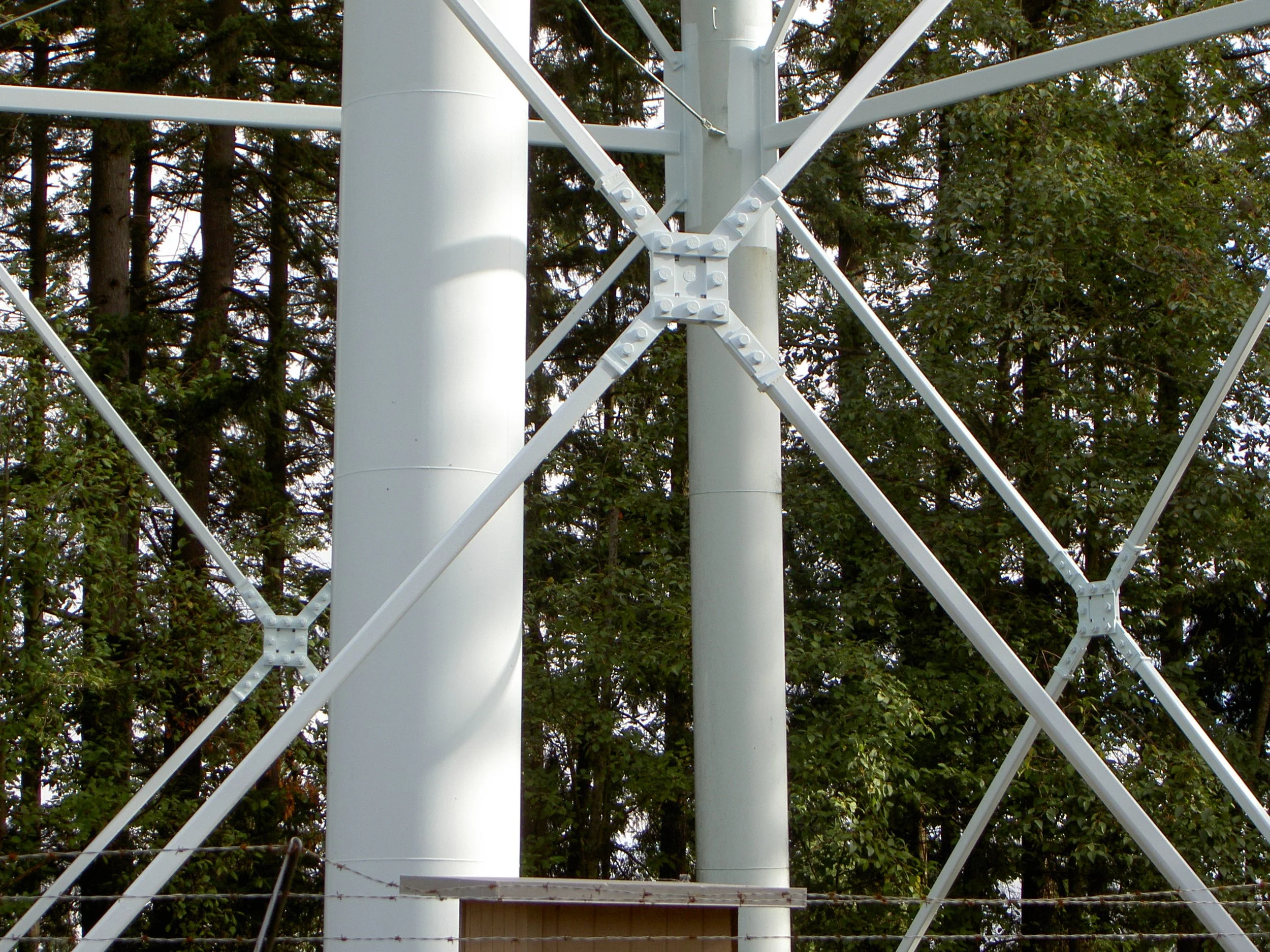 PICT1009.JPG