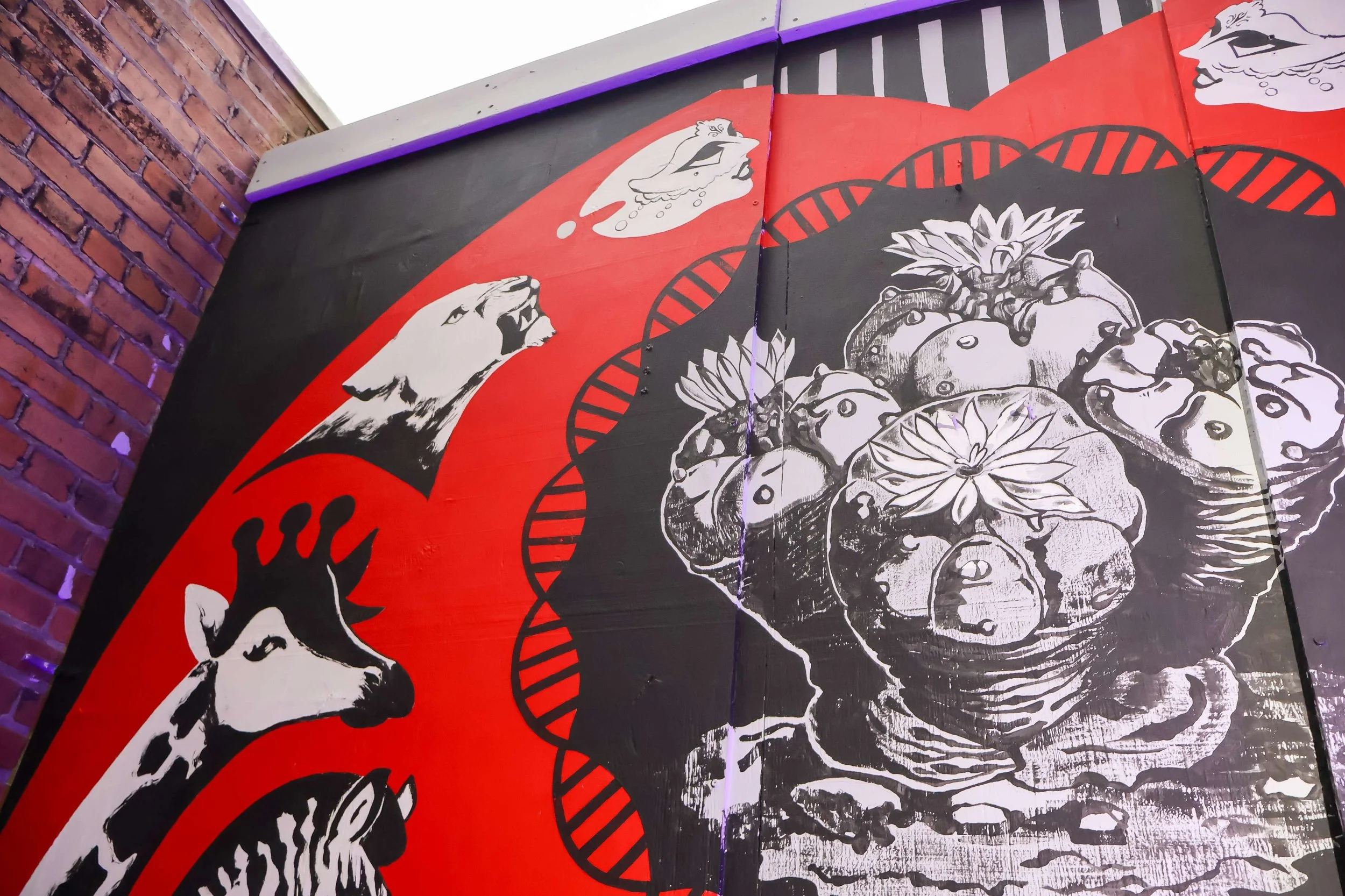 notsuoh-patio-red-mural.jpg