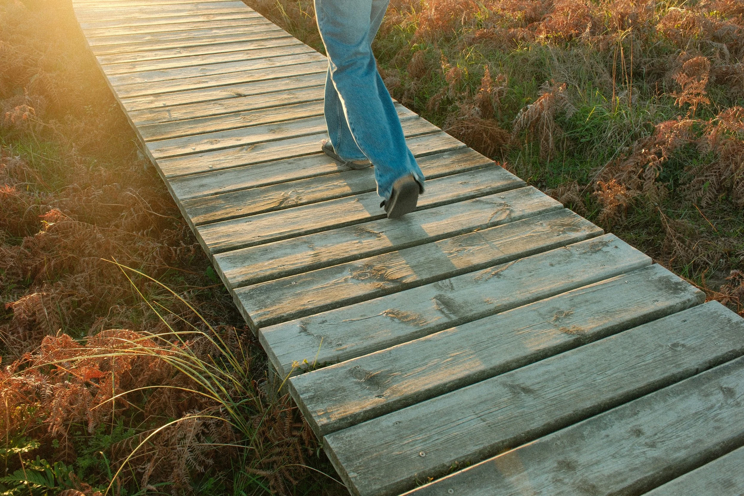 navigating stressors