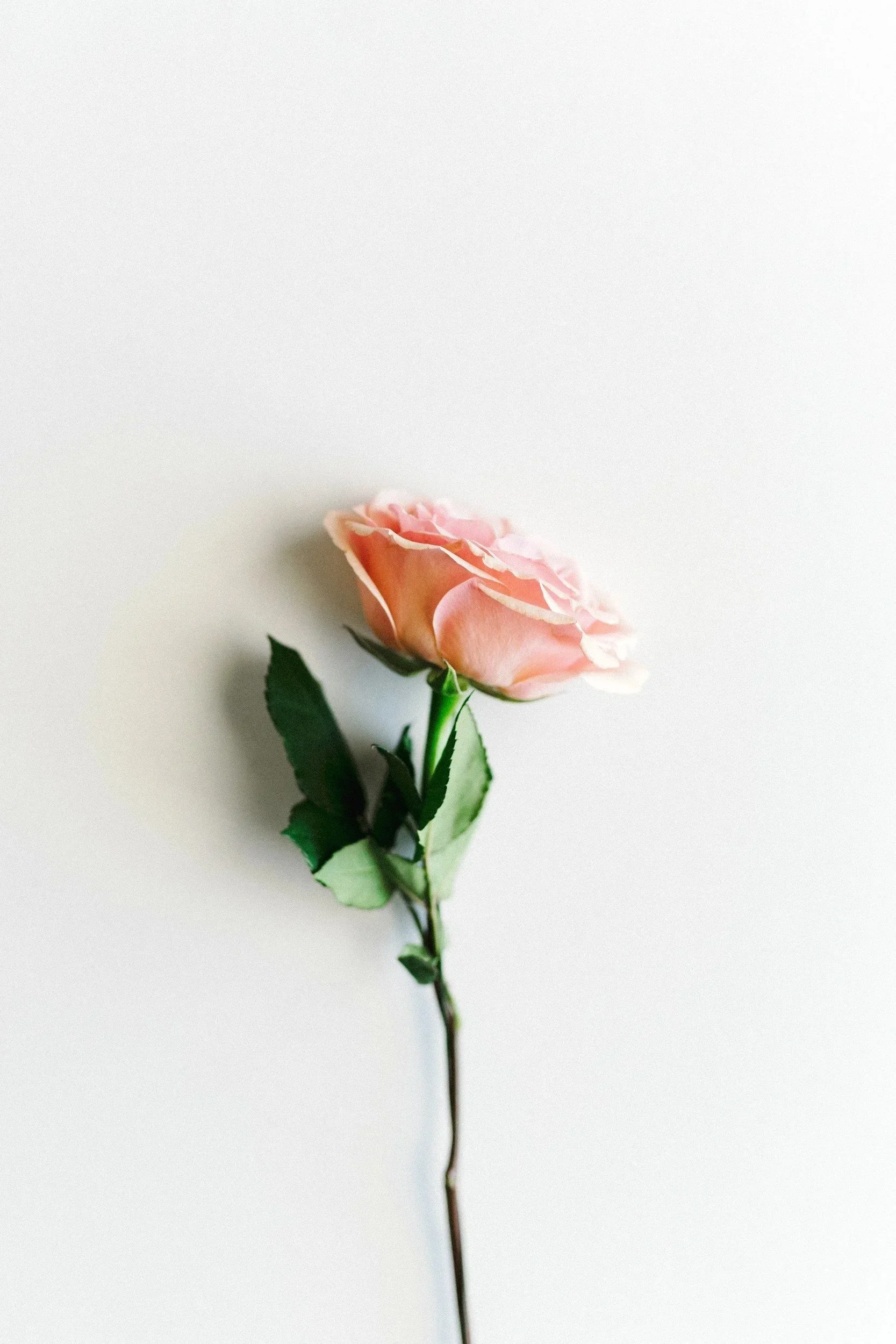 How to Find a Body Image Therapist in New York