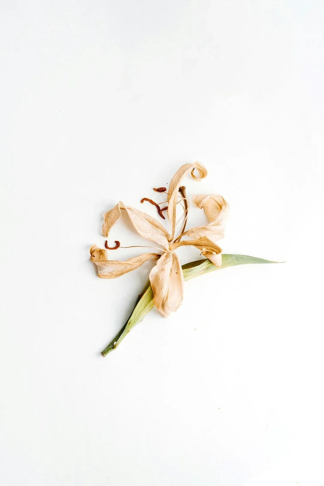 What to Look for in a Therapist for Body Image and Self-Worth Issues in New York