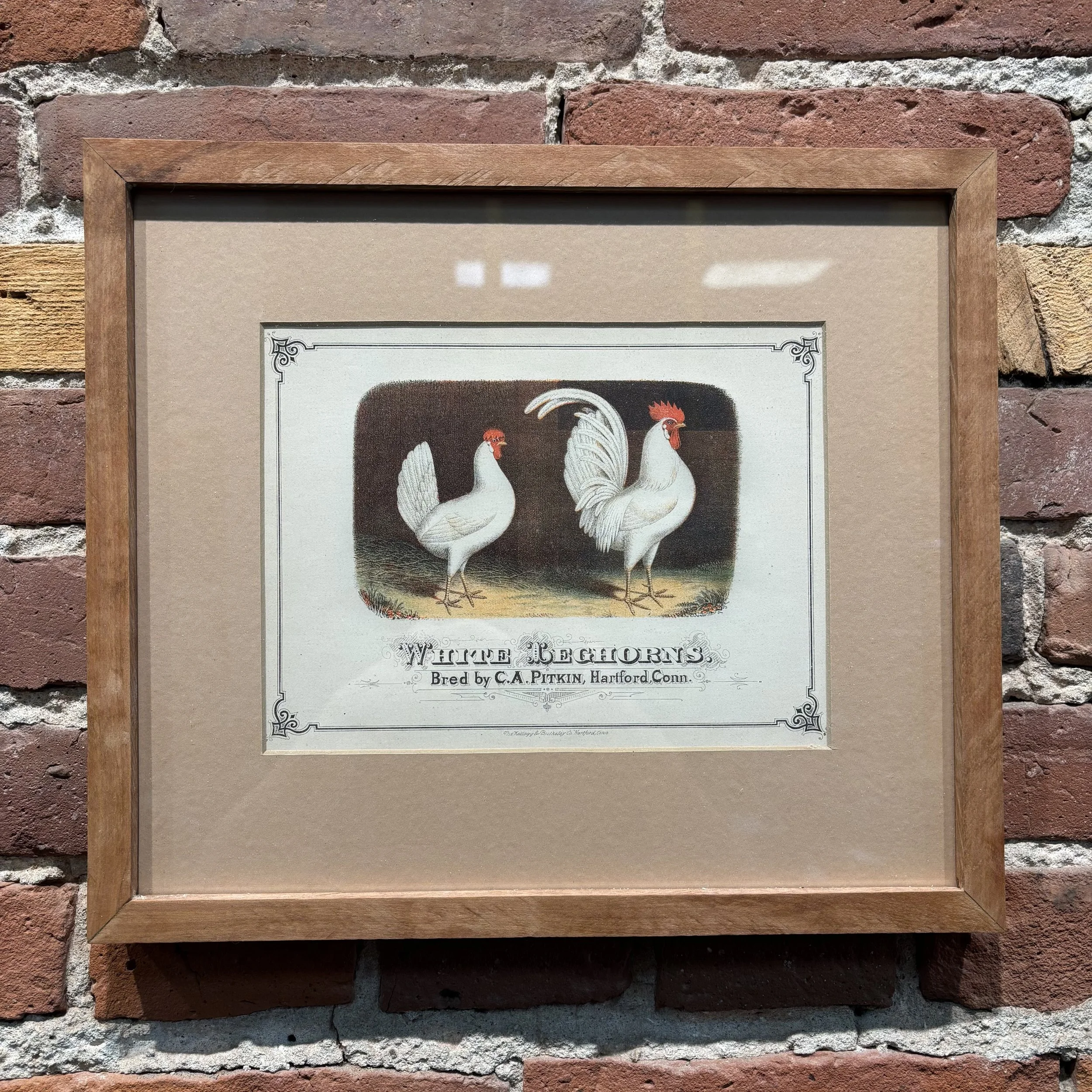 White Leghorn Egg Label